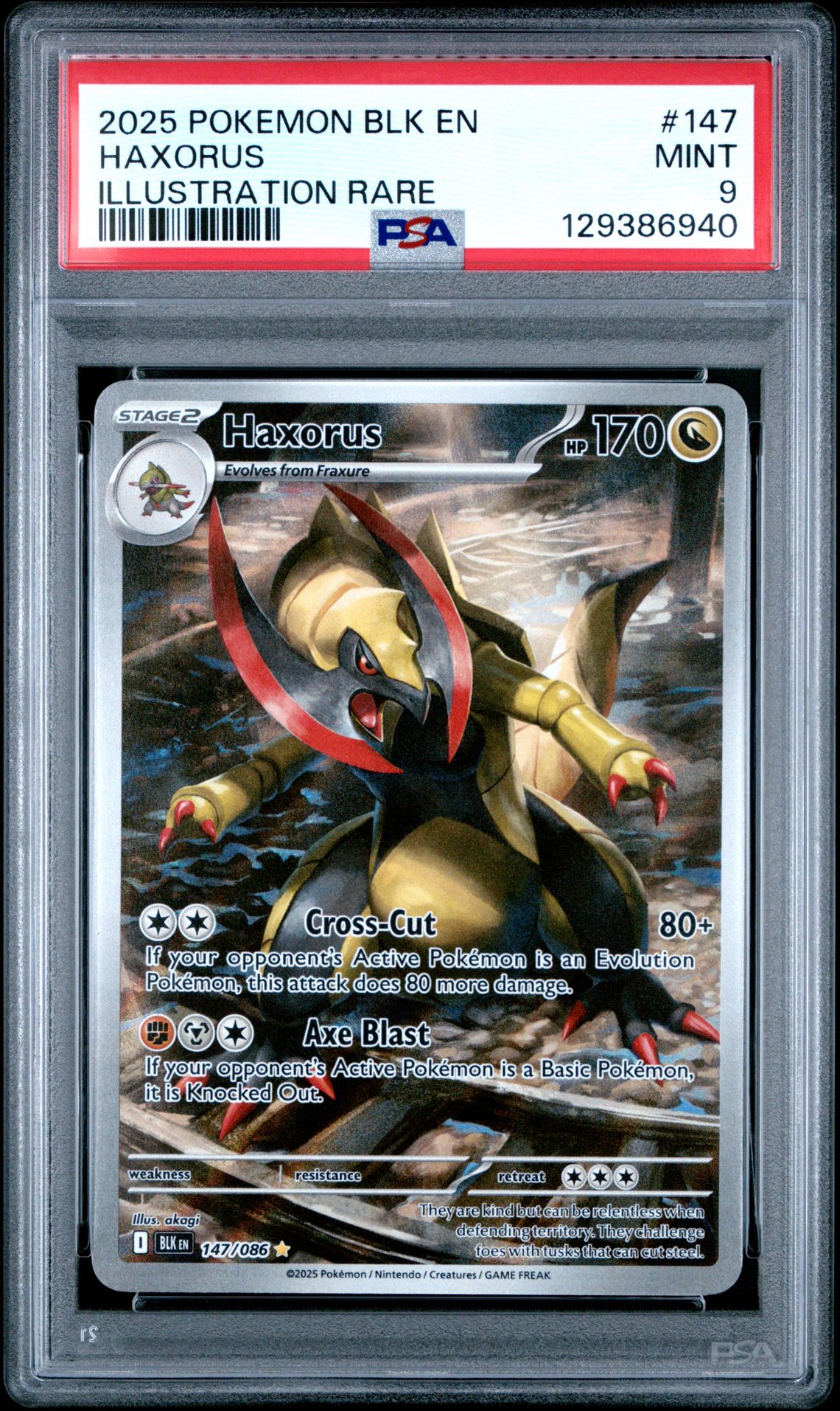 2025 Pokemon Blk En-Black Bolt Haxorus #147 (Illustration Rare) Mint 9 front
