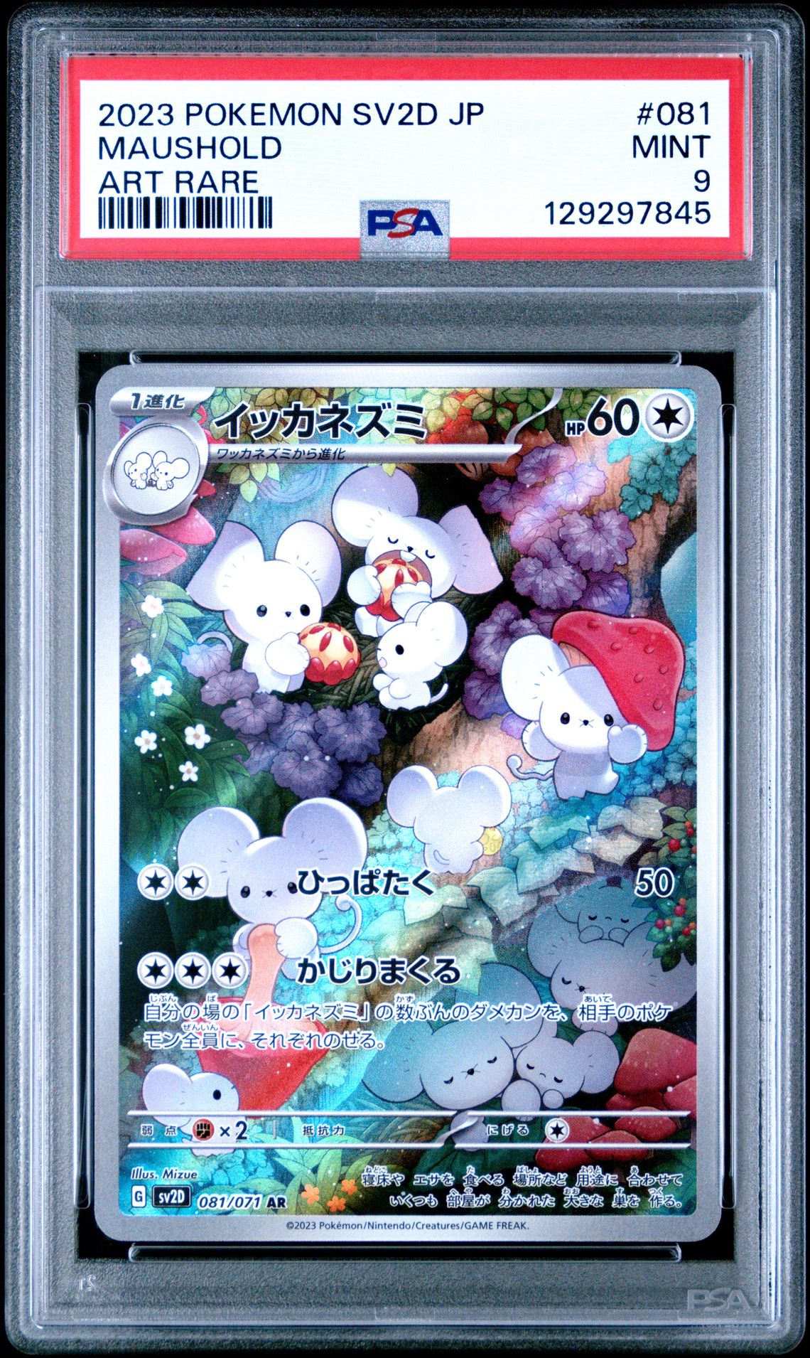 2023 Pokemon Japanese Sv2D-Clay Burst Maushold #081 (Art Rare) Mint 9 front