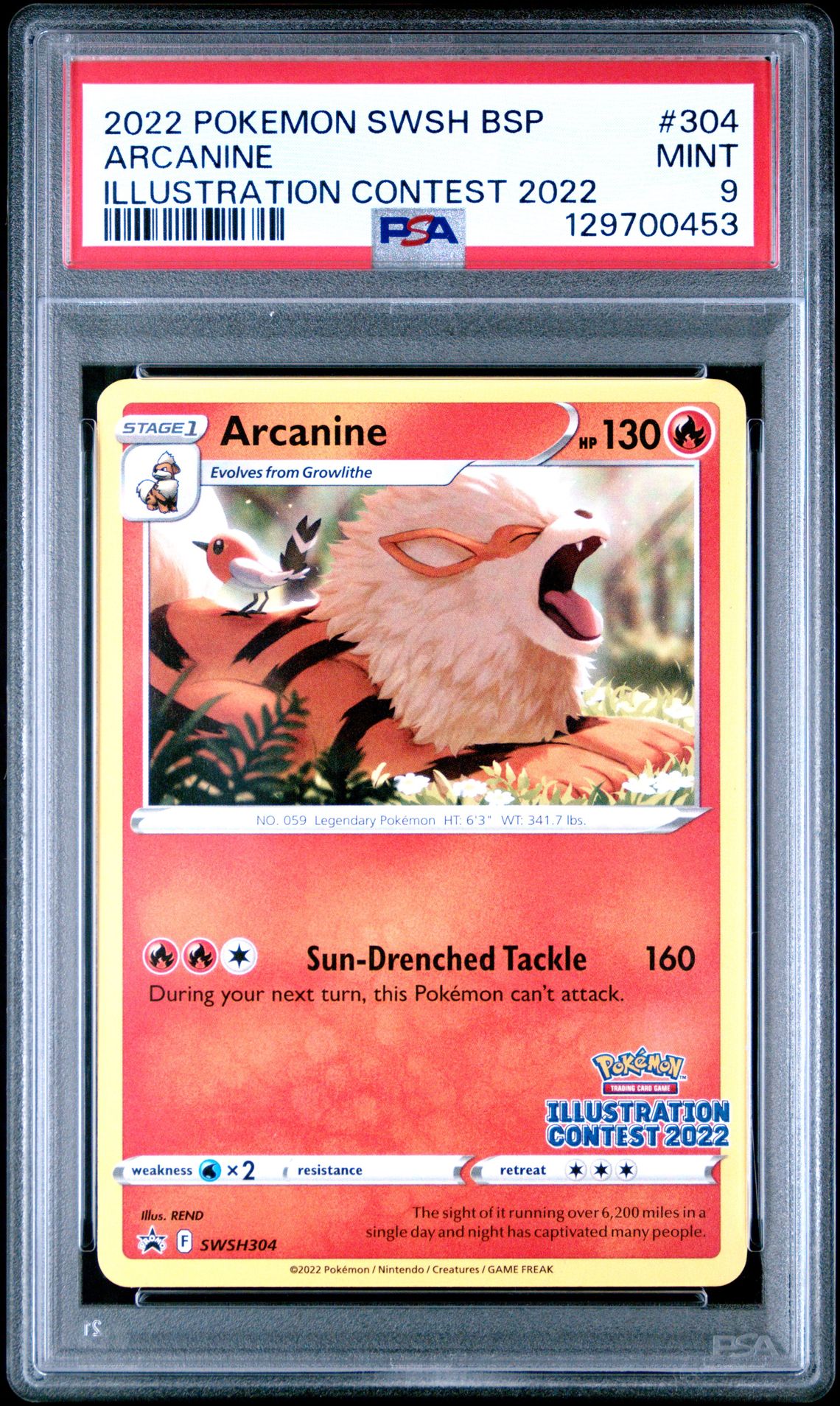 2022 Pokemon Swsh Black Star Promo Arcanine #304 (Illustration Contest 2022) Mint 9 front
