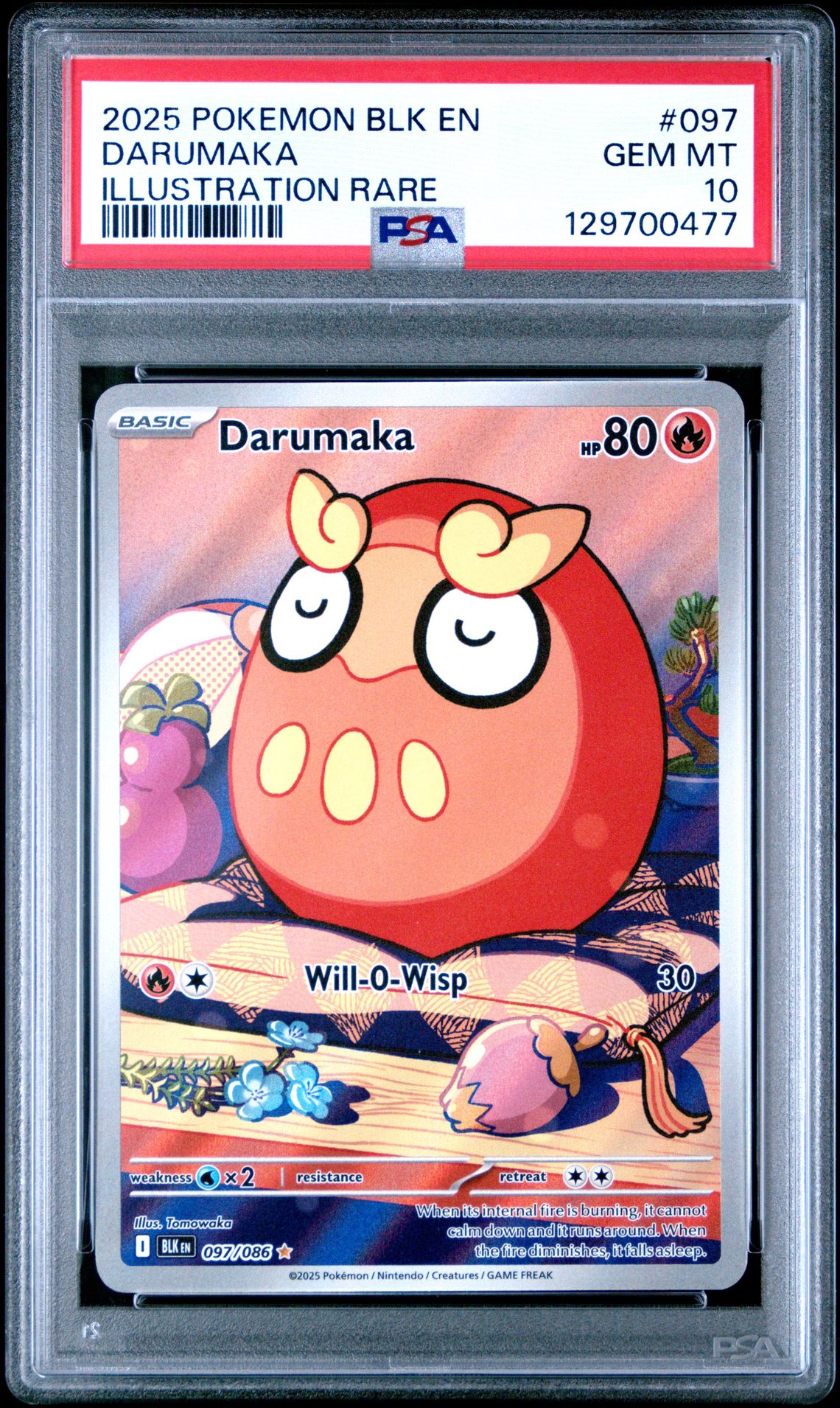 2025 Pokemon Blk En-Black Bolt Darumaka #097 (Illustration Rare) Gem Mt 10 front