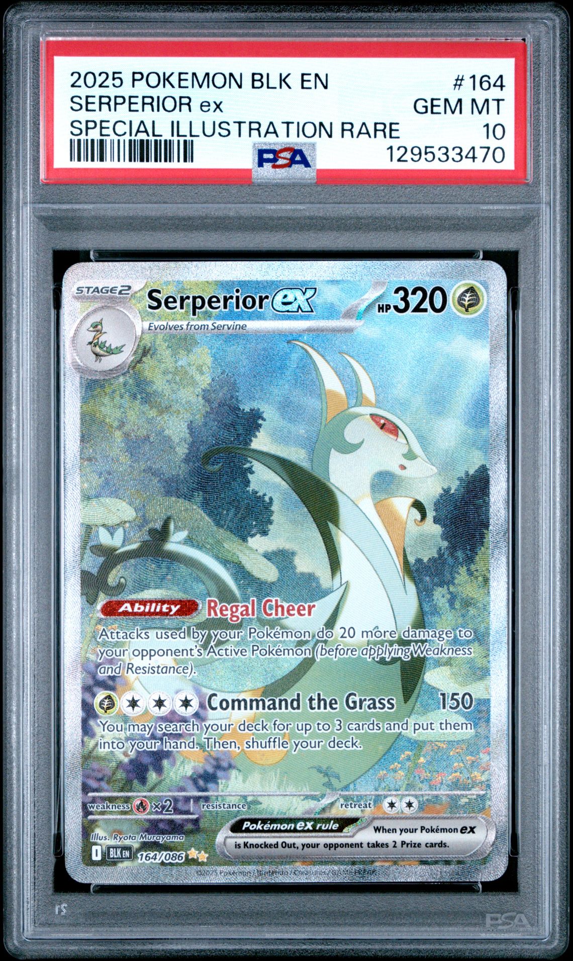 2025 Pokemon Blk En-Black Bolt Serperior Ex #164 (Special Illustration Rare) Gem Mt 10 front