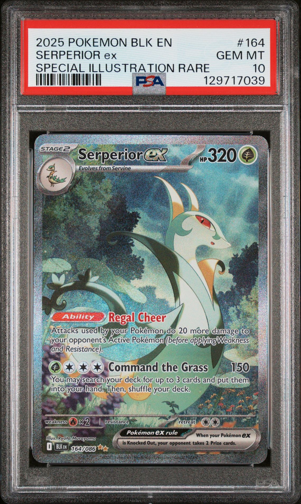 2025 Pokemon Blk En-Black Bolt Serperior Ex #164 (Special Illustration Rare) Gem Mt 10 front