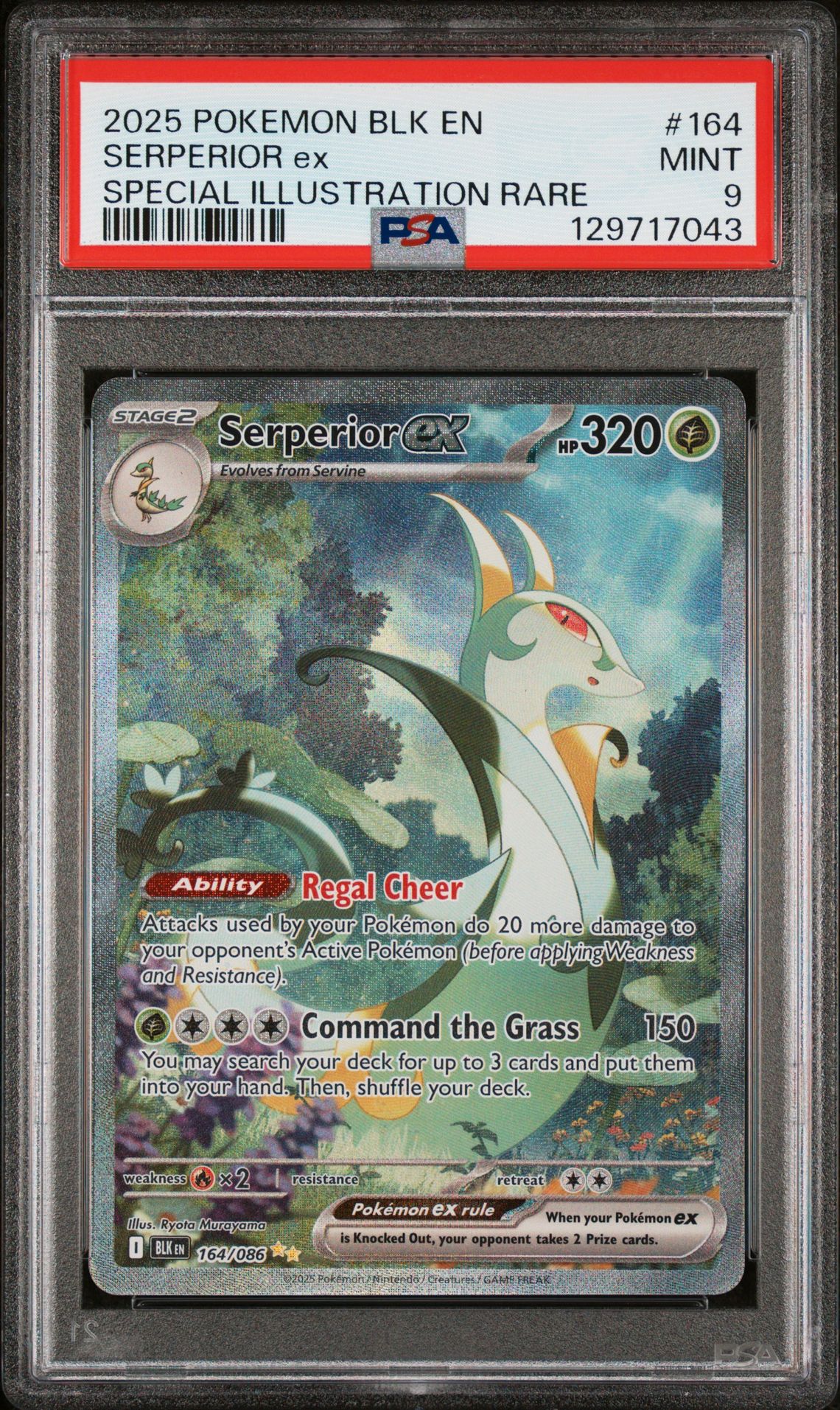 2025 Pokemon Blk En-Black Bolt Serperior Ex #164 (Special Illustration Rare) Mint 9 front