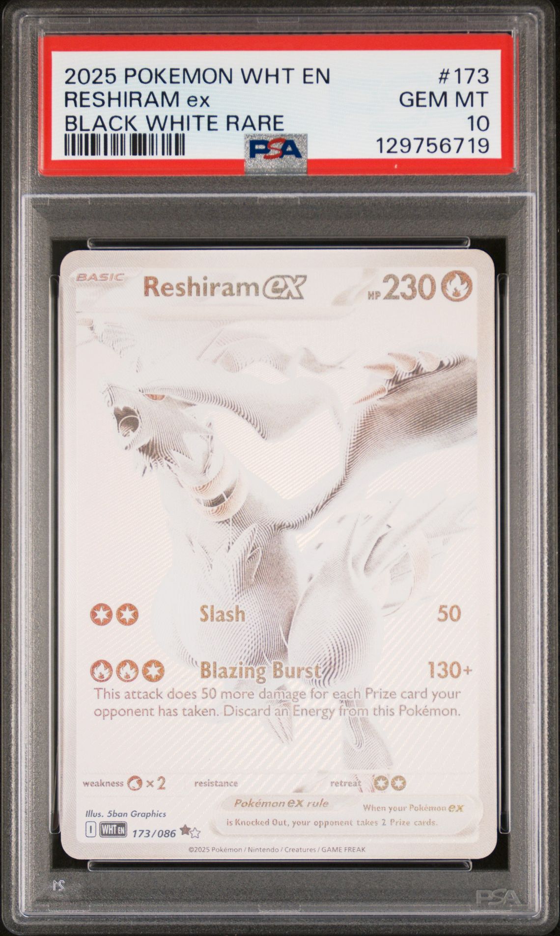 2025 Pokemon Wht En-White Flare Reshiram Ex #173 (Black White Rare) Gem Mt 10 front