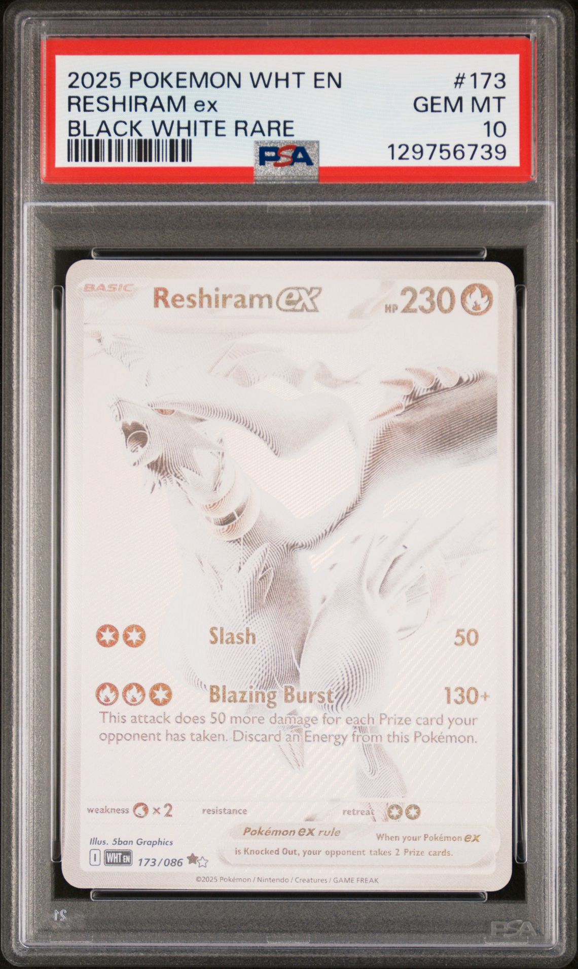 2025 Pokemon Wht En-White Flare Reshiram Ex #173 (Black White Rare) Gem Mt 10 front