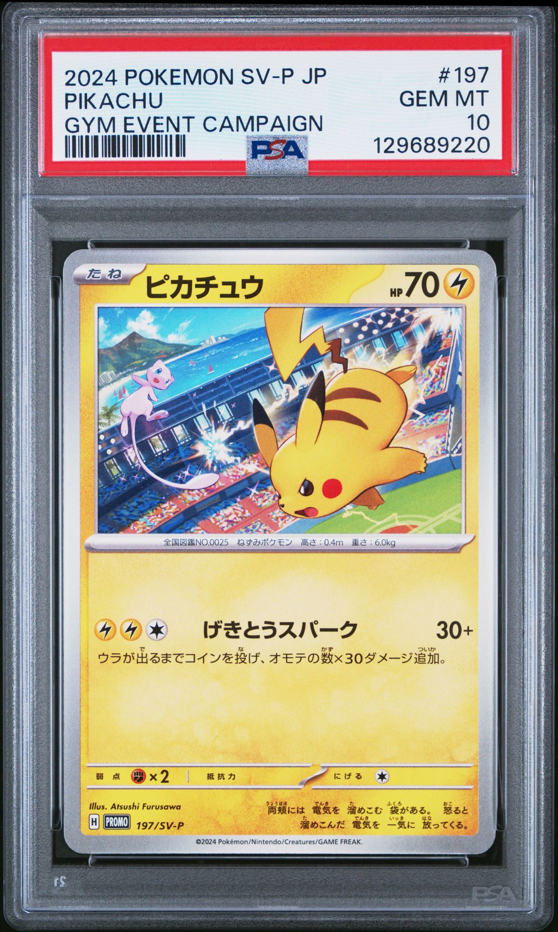 2024 Pokemon POKEMON JAPANESE SV-P PROMO GYM EVENT CAMPAIGN #197 Pikachu front