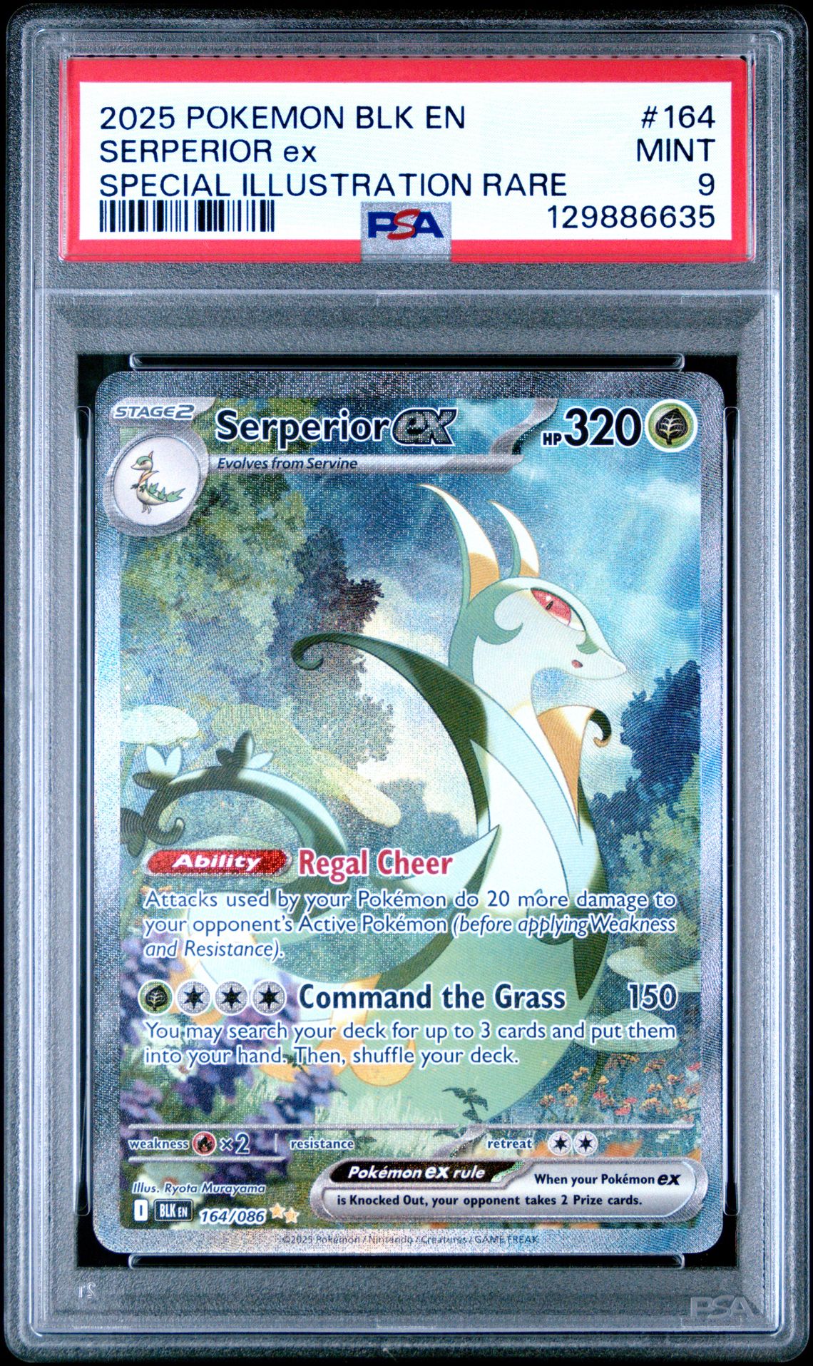 2025 Pokemon Blk En-Black Bolt Serperior Ex #164 (Special Illustration Rare) Mint 9 front