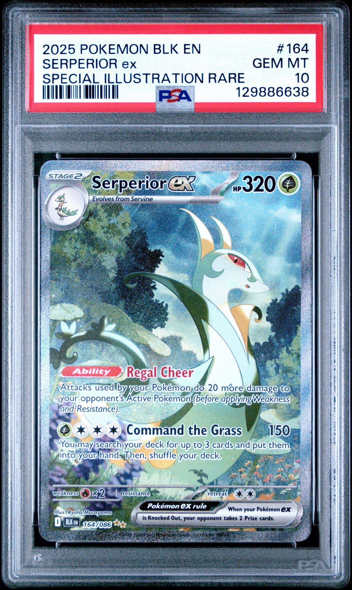 2025 Pokemon Blk En-Black Bolt Serperior Ex #164 (Special Illustration Rare) Gem Mt 10 front