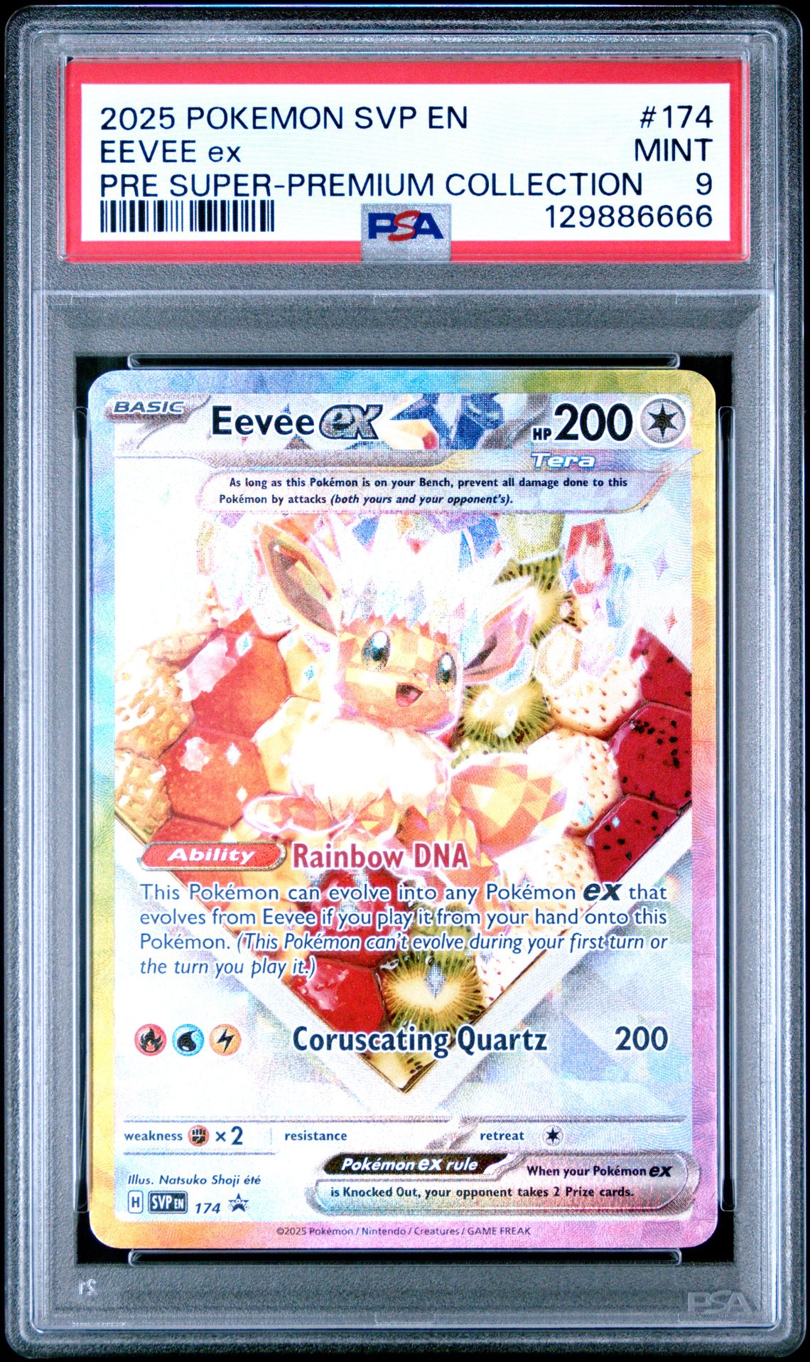 2025 Pokemon Svp En-Sv Black Star Promo Eevee Ex #174 (Pre Super-Premium Collection) Mint 9 front