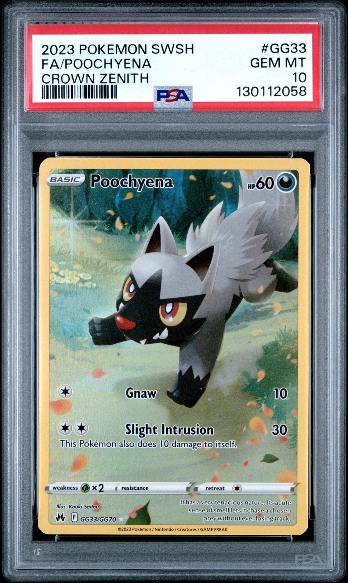 2023 Pokemon Sword And Shield Crown Zenith Fa/Poochyena #Gg33 (Crown Zenith) Gem Mt 10 front
