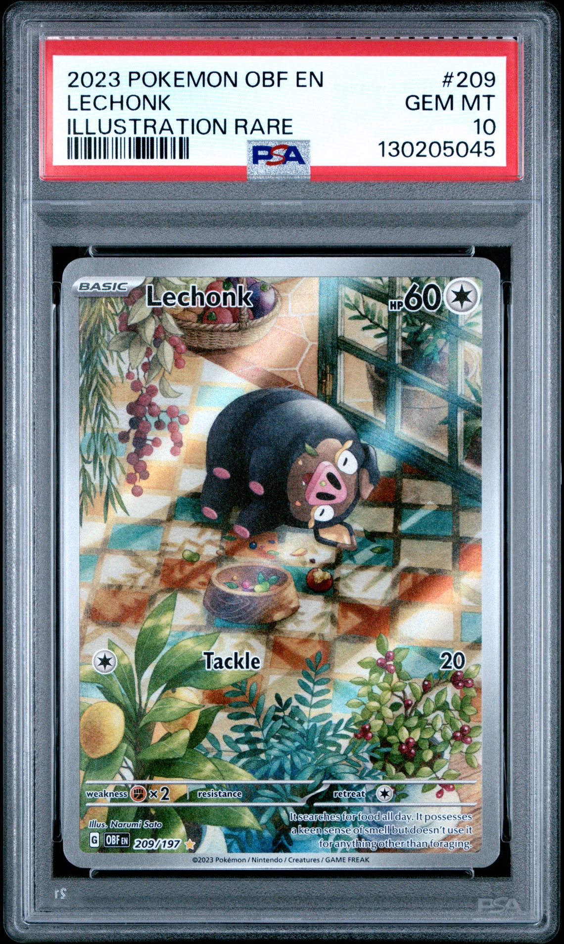 2023 Pokemon Obf En-Obsidian Flames Lechonk #209 (Illustration Rare) Gem Mt 10 front