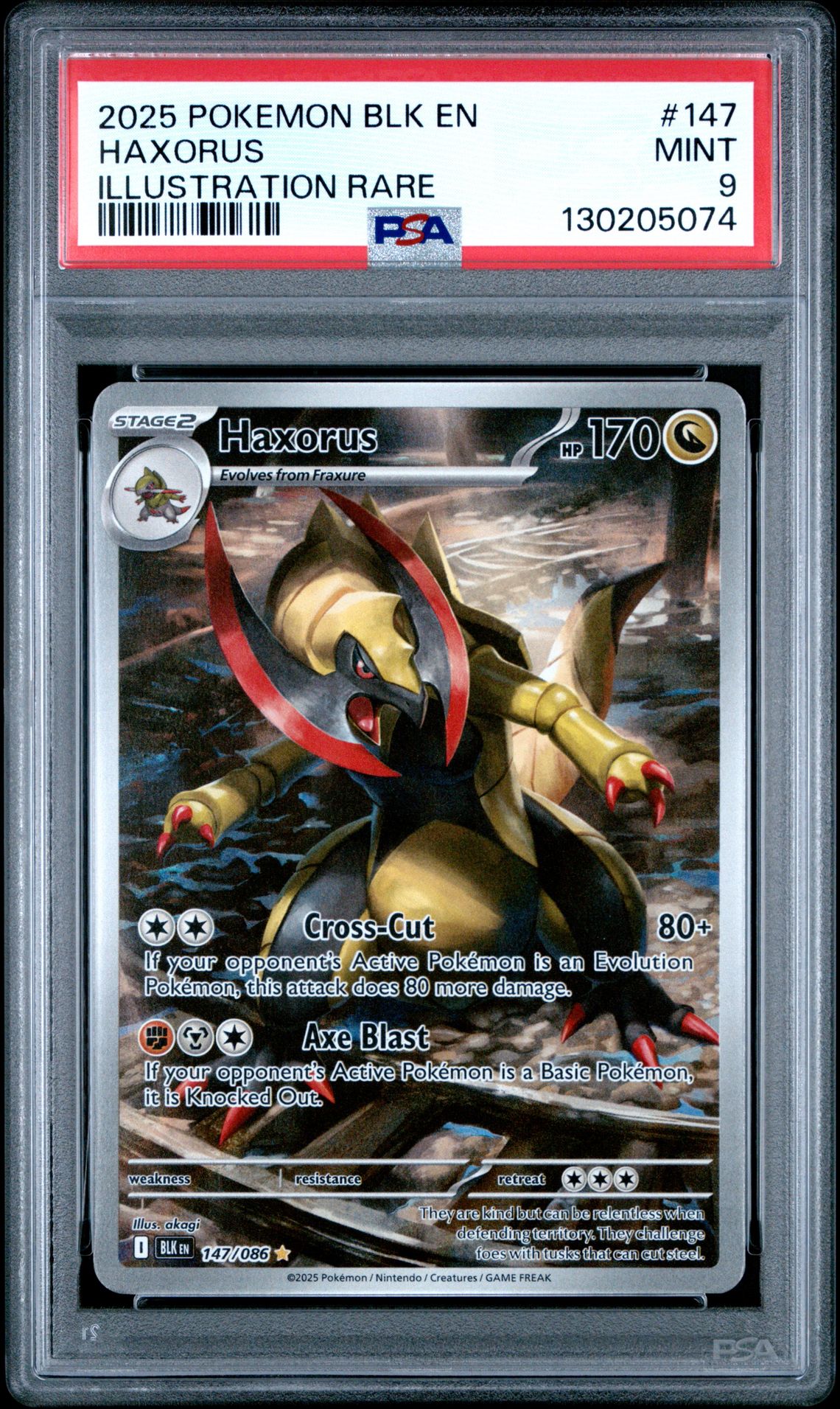 2025 Pokemon Blk En-Black Bolt Haxorus #147 (Illustration Rare) Mint 9 front
