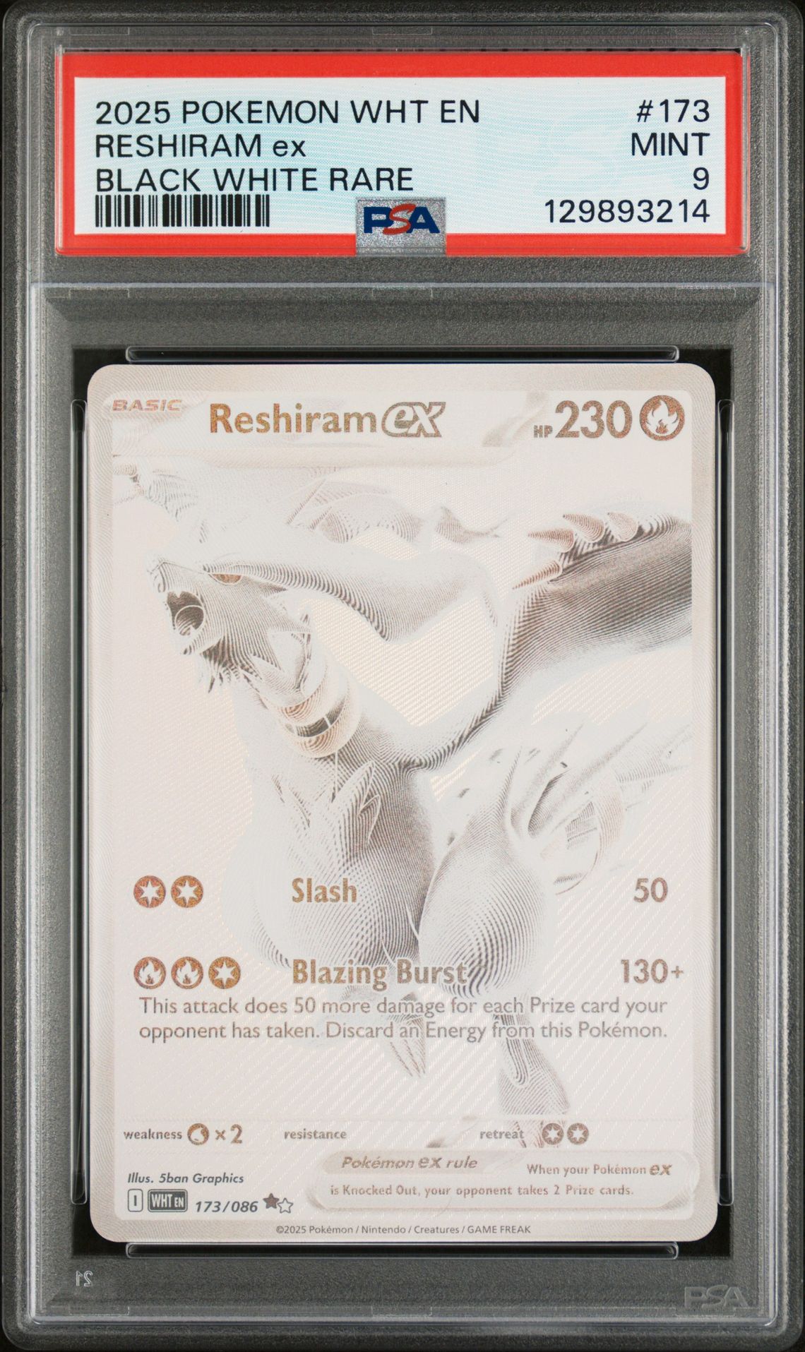 2025 Pokemon Wht En-White Flare Reshiram Ex #173 (Black White Rare) Mint 9 front