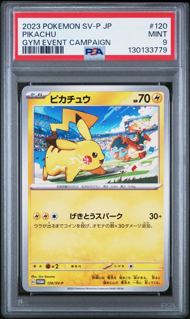 2023 Pokemon GYM EVENT CAMPAIGN #120 Pikachu front
