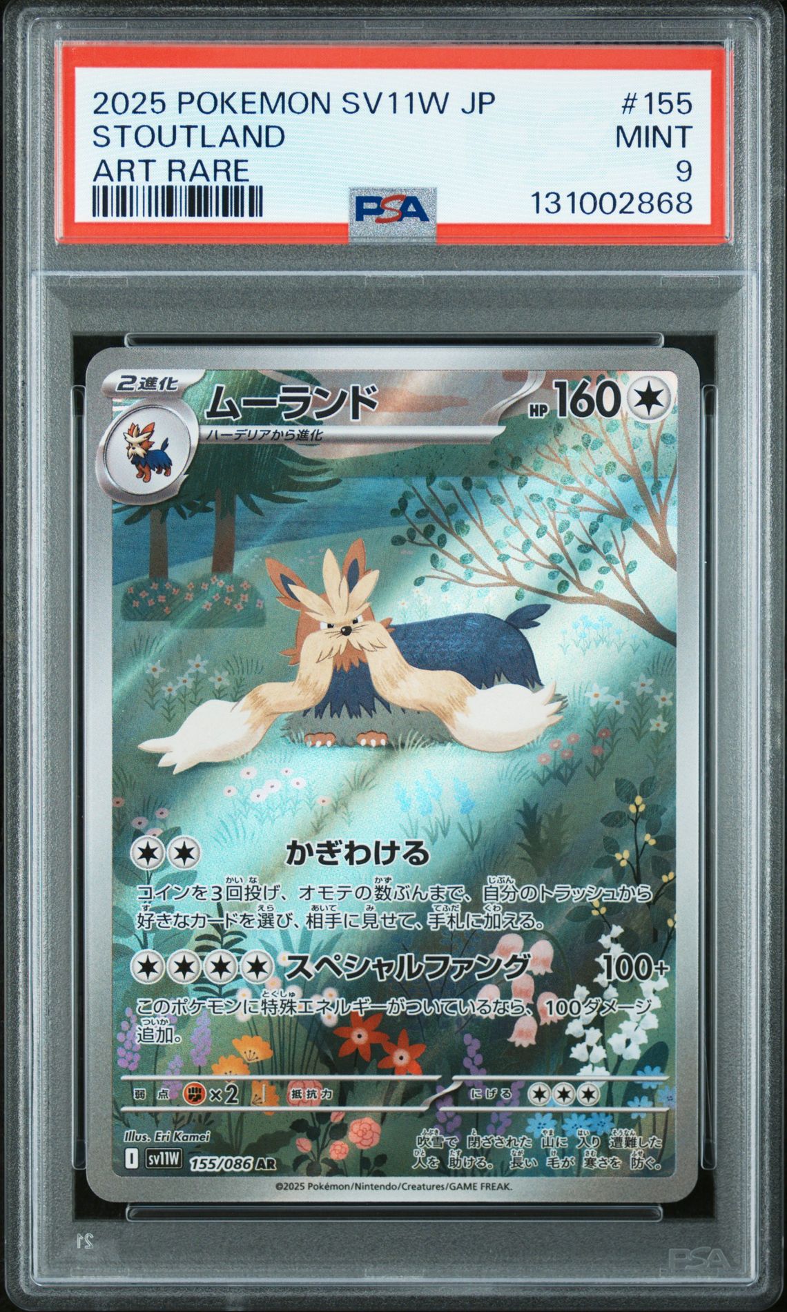 2025 Pokemon Japanese Sv11W-White Flare Stoutland #155 (Art Rare) Mint 9 front