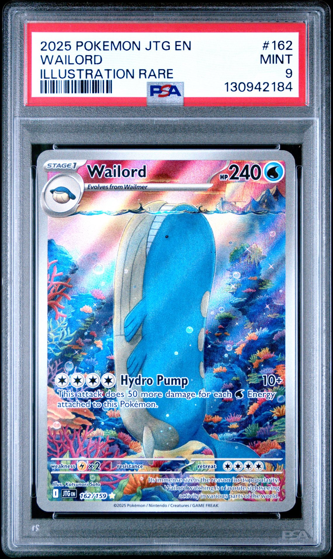 2025 Pokemon Jtg En-Journey Together Wailord #162 (Illustration Rare) Mint 9 front