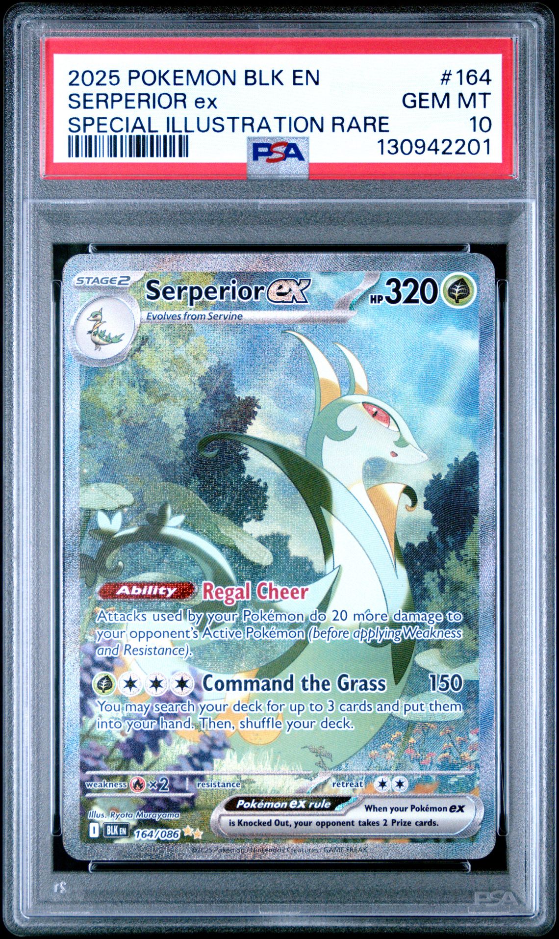 2025 Pokemon Blk En-Black Bolt Serperior Ex #164 (Special Illustration Rare) Gem Mt 10 front