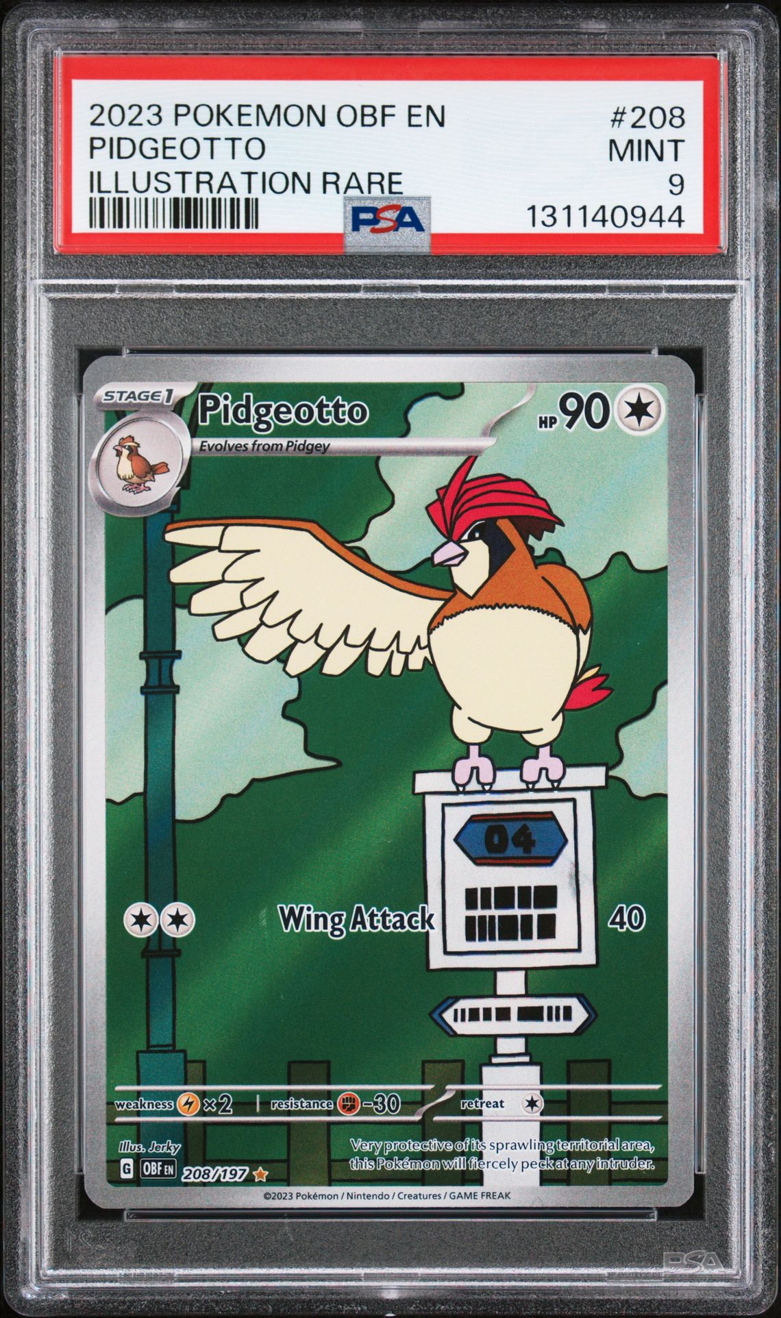 2023 Pokemon Obf En-Obsidian Flames Pidgeotto #208 (Illustration Rare) Mint 9 front