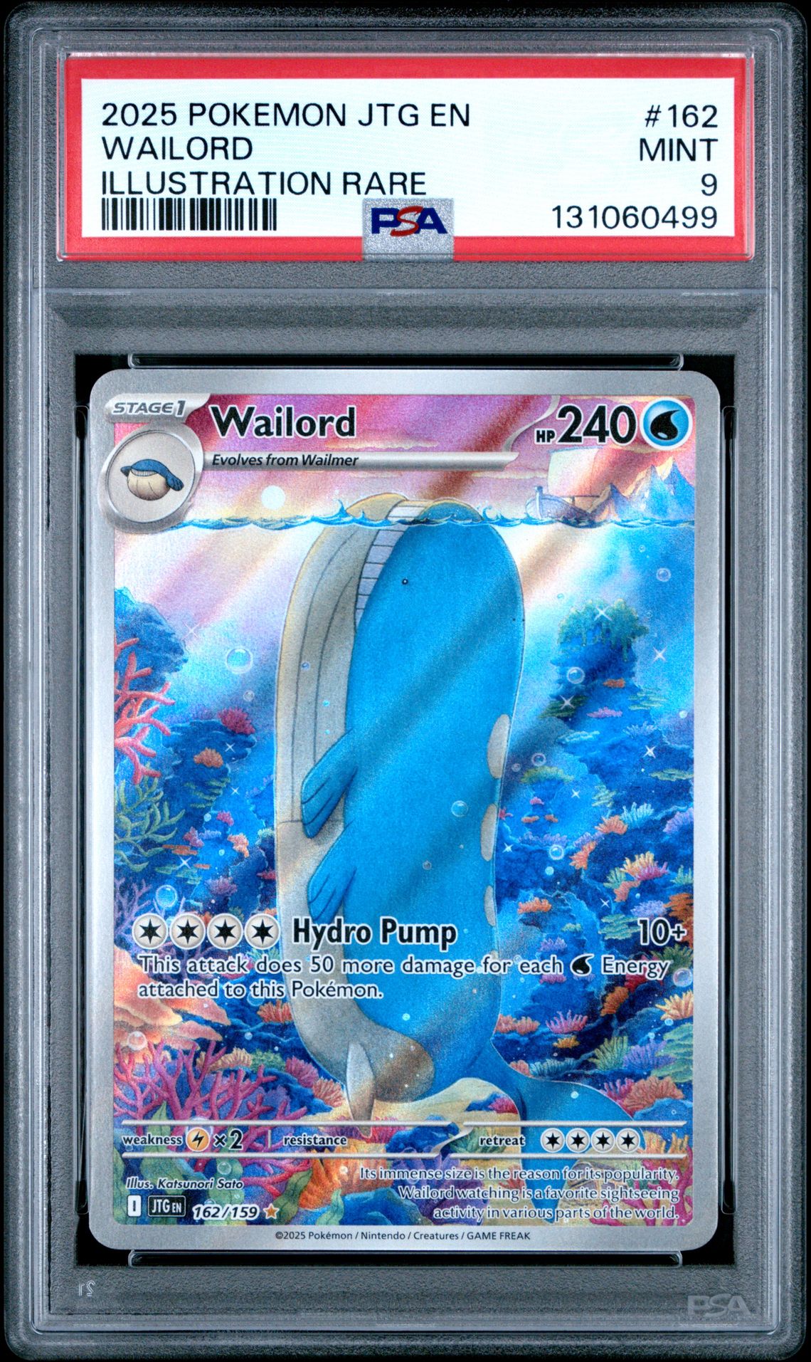 2025 Pokemon Jtg En-Journey Together Wailord #162 (Illustration Rare) Mint 9 front