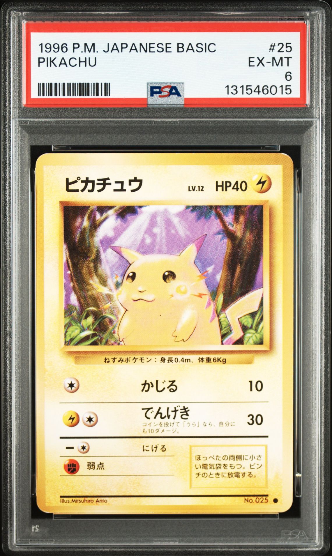 Pokemon Pikachu front