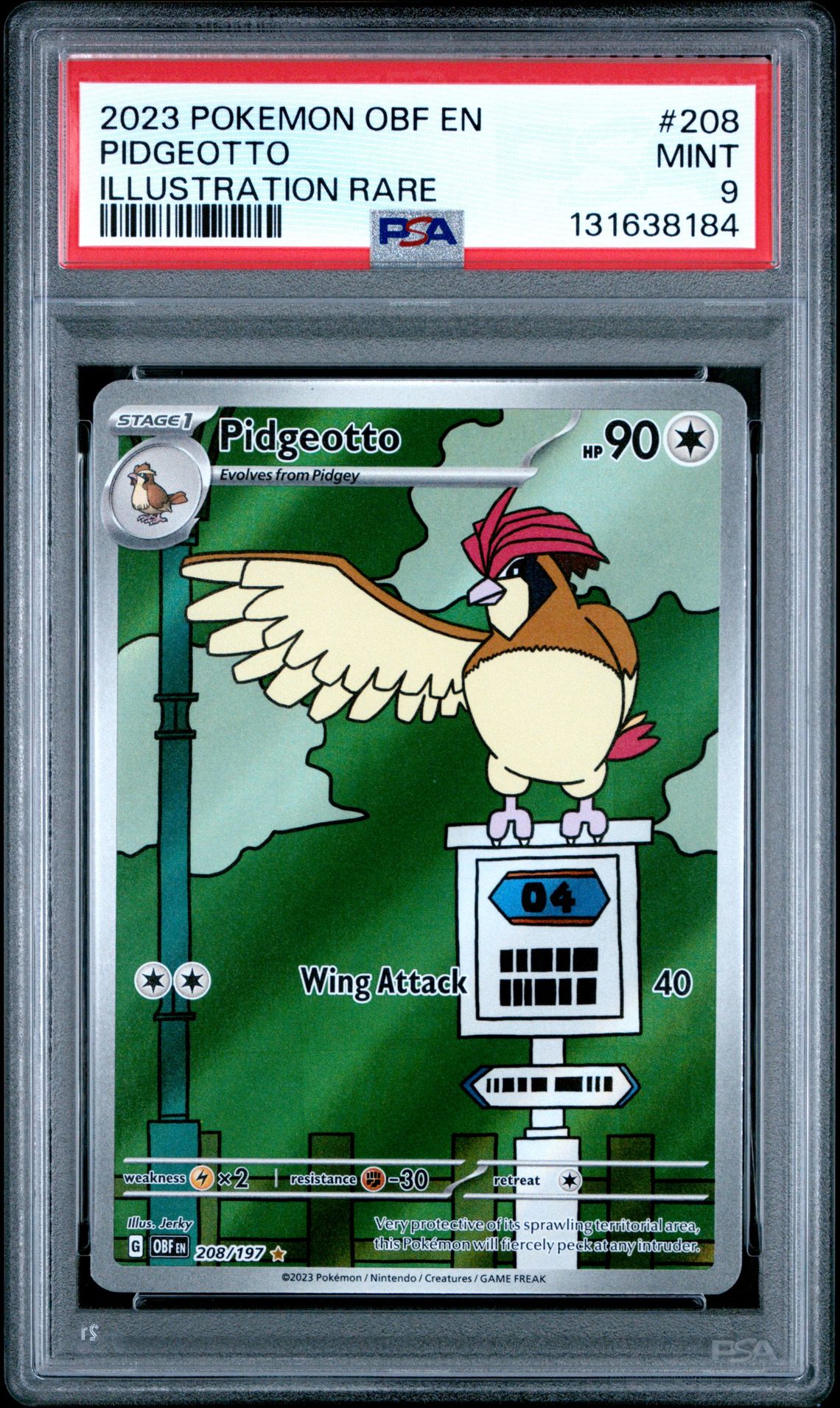 #208 PIDGEOTTO