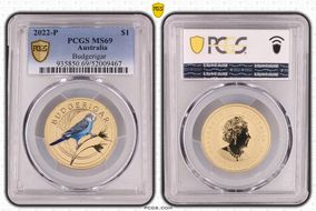 2022-P $1 Budgerigar MS69