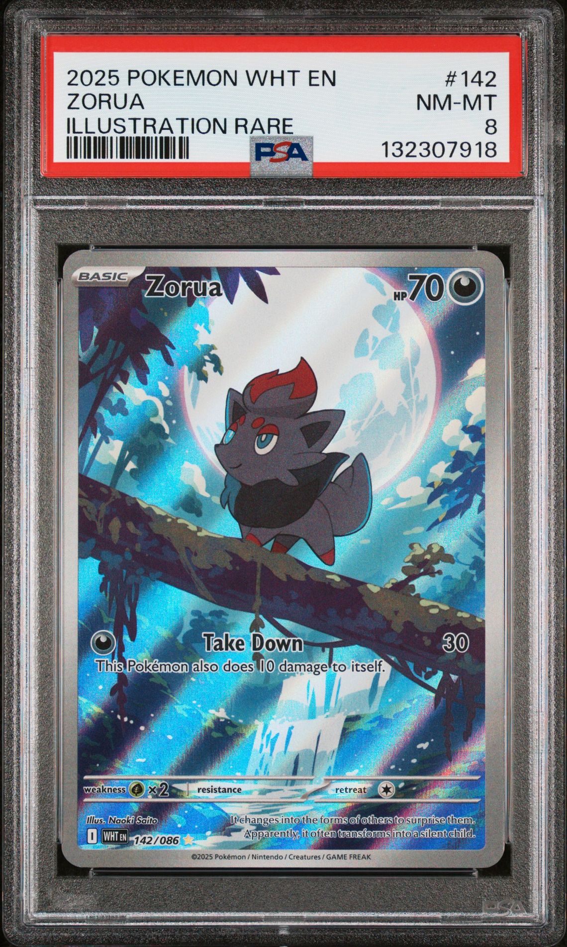 2025 Pokemon Wht En-White Flare Zorua #142 (Illustration Rare) Nm-Mt 8 front
