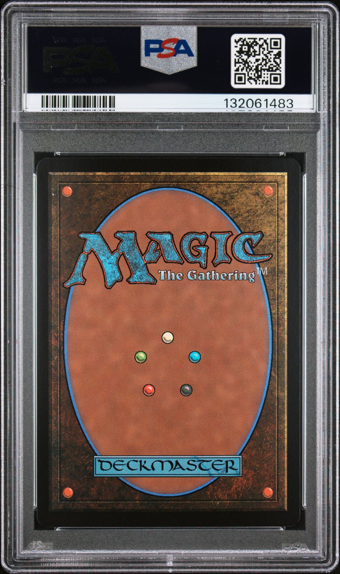 2025 Magic The Gathering Final Fantasy Traveling Chocobo #0406 (Borderless-Foil) Gem Mt 10 back