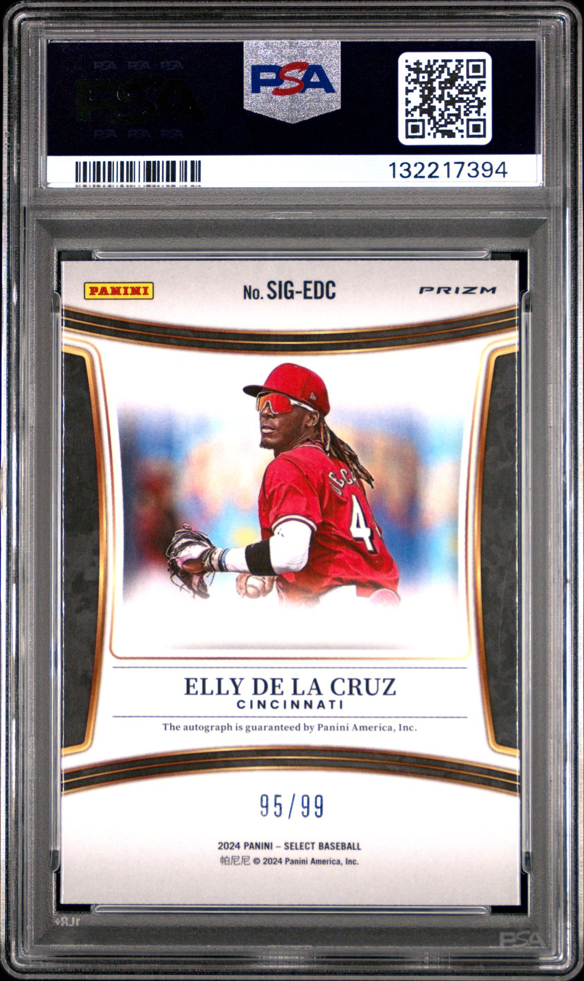2024 Panini Select Signatures Elly De La Cruz #Sigedc (Signature-Red Prizm) Gem Mt 10 back