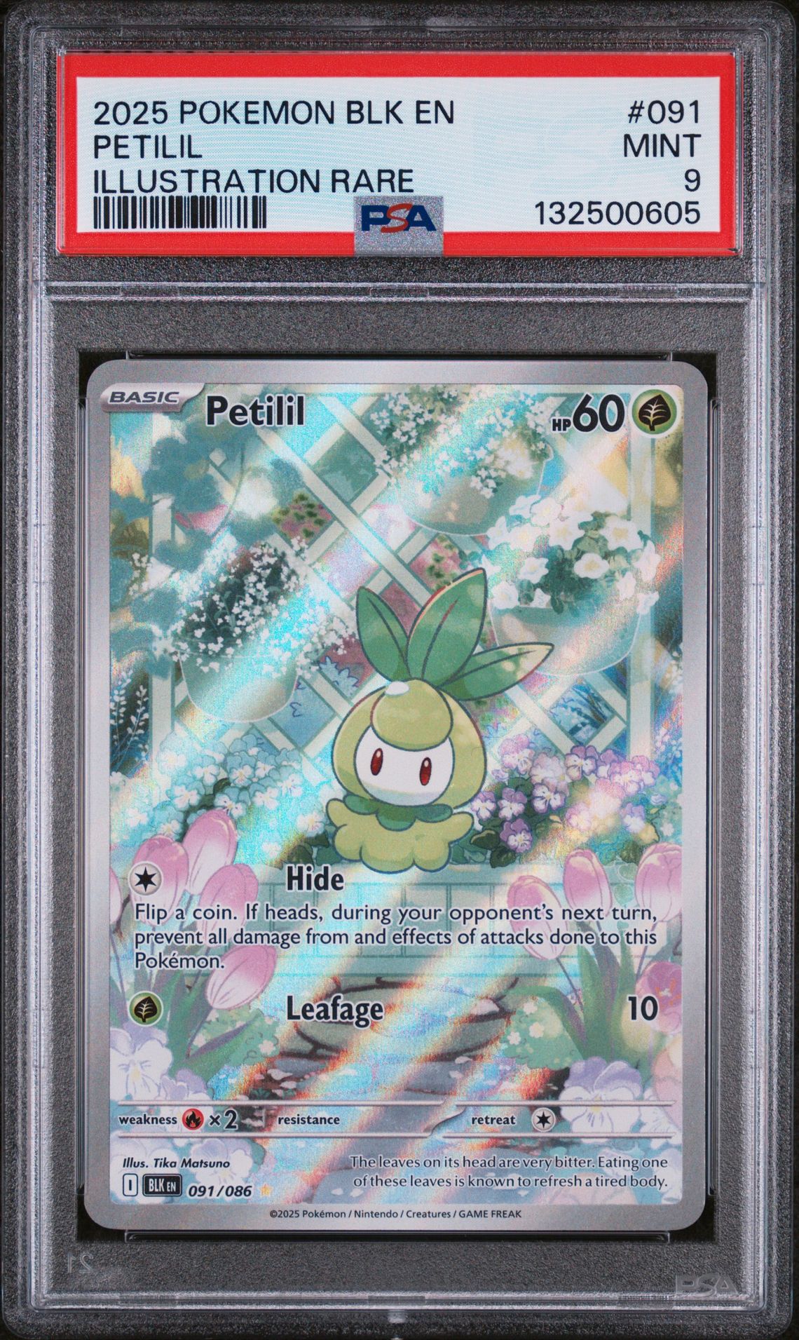 2025 Pokemon POKEMON BLK EN-BLACK BOLT ILLUSTRATION RARE #091 Petilil front