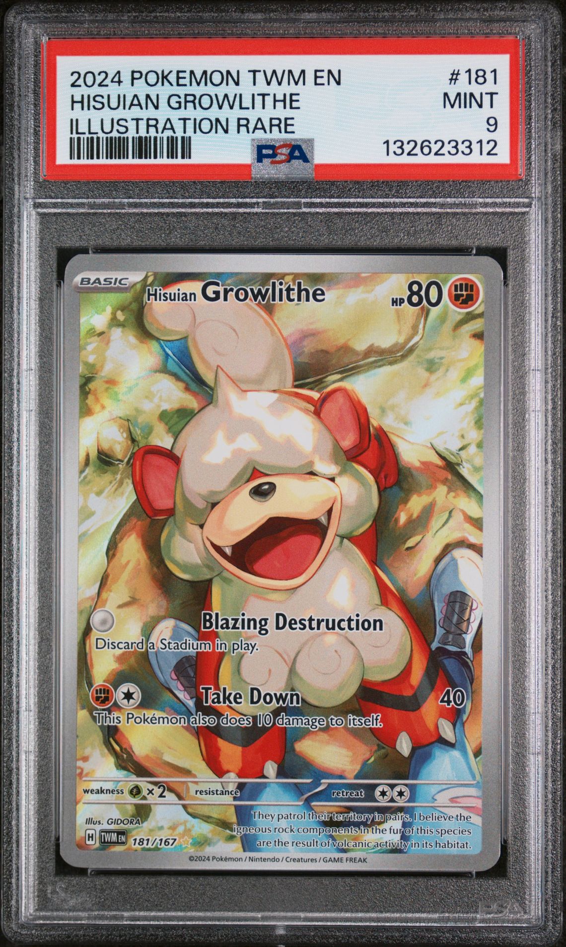 2024 Pokemon Twm En-Twilight Masquerade Hisuian Growlithe #181 (Illustration Rare) Mint 9 front