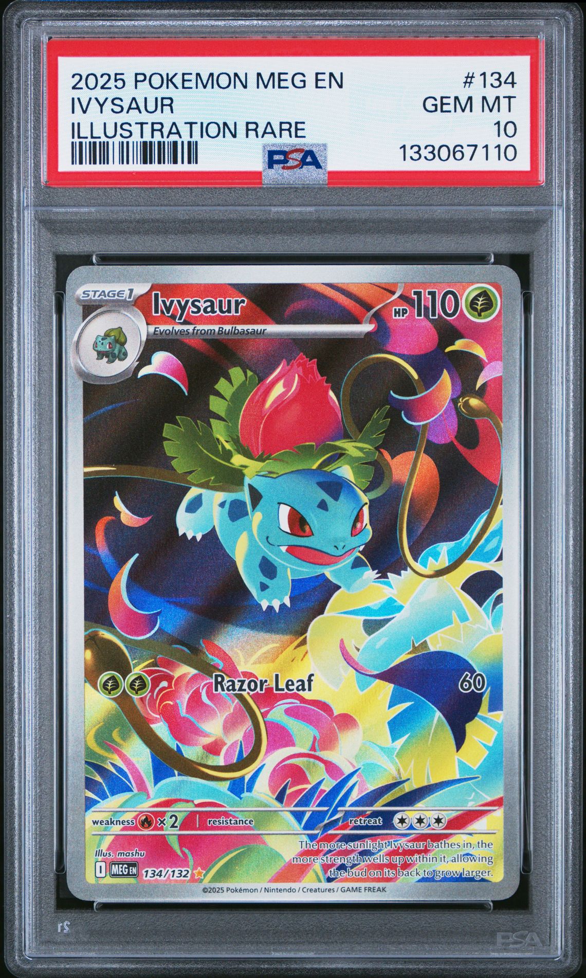 2025 Pokemon Meg En-Mega Evolution Ivysaur #134 (Illustration Rare) Gem Mt 10 front