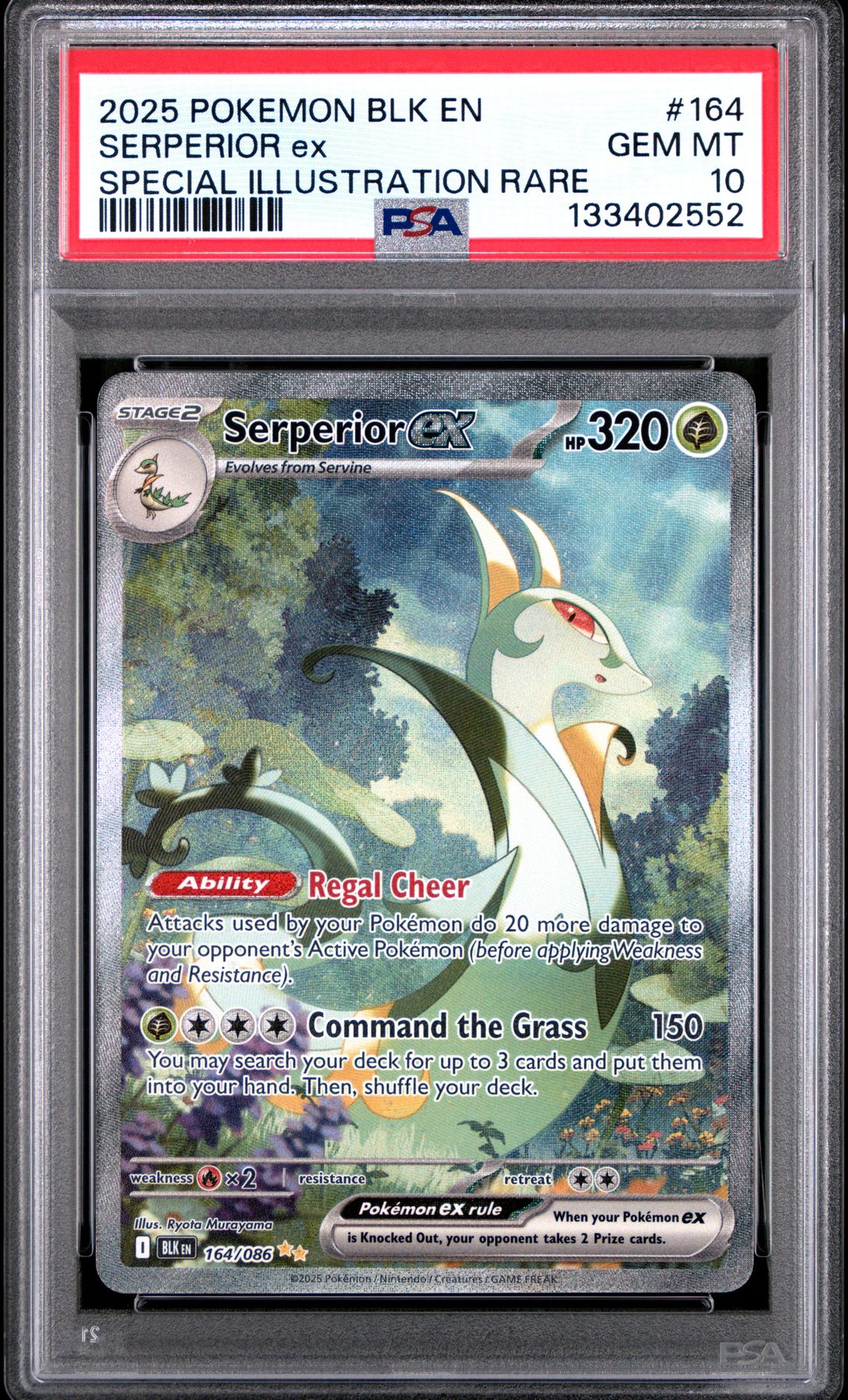 2025 Pokemon Blk En-Black Bolt Serperior Ex #164 (Special Illustration Rare) Gem Mt 10 front
