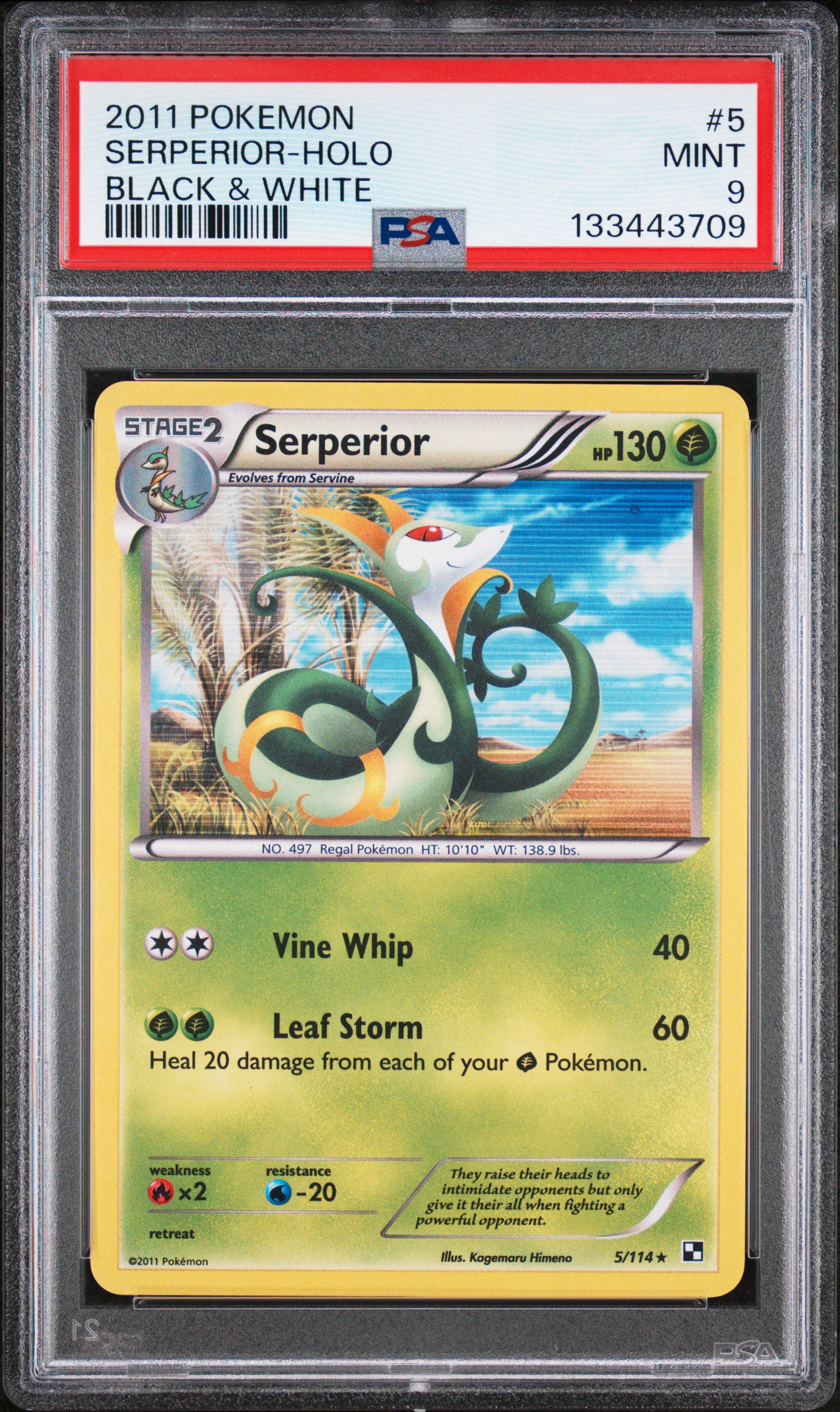 2011 #5 Serperior-Holo PSA 9 Black & White Pokemon