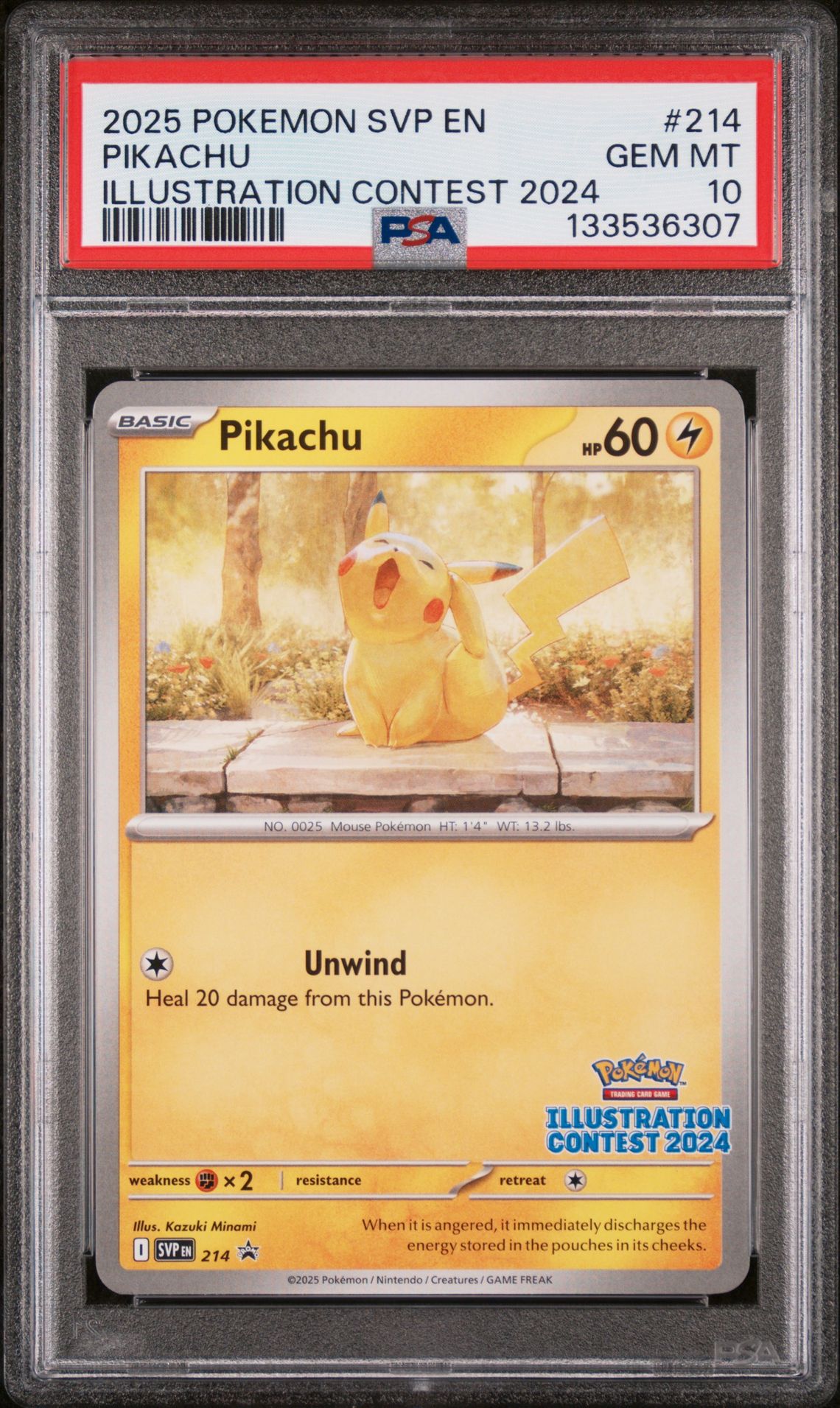 2025 Pokemon POKEMON SVP EN-SV BLACK STAR PROMO ILLUSTRATION CONTEST 2024 #214 Pikachu front