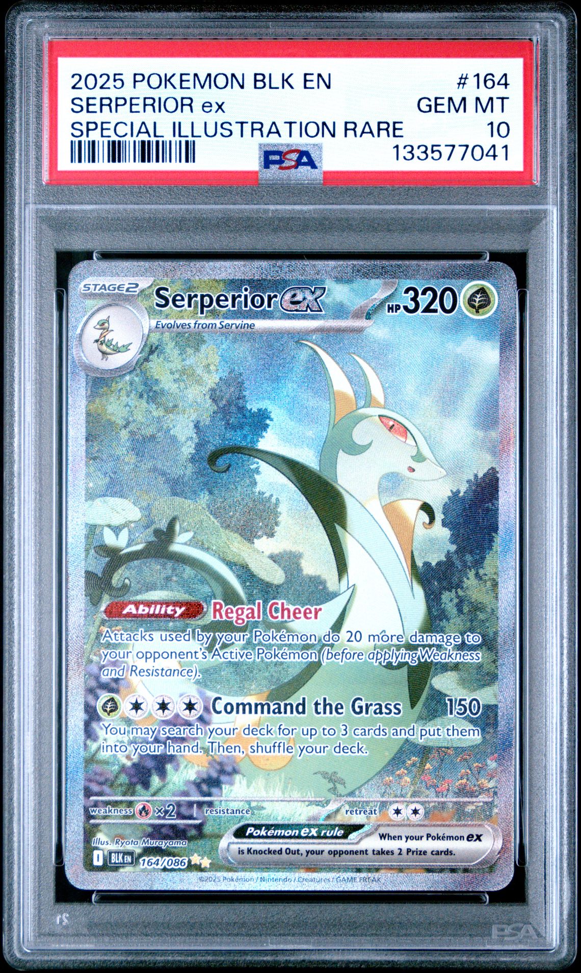 2025 Pokemon Blk En-Black Bolt Serperior Ex #164 (Special Illustration Rare) Gem Mt 10 front