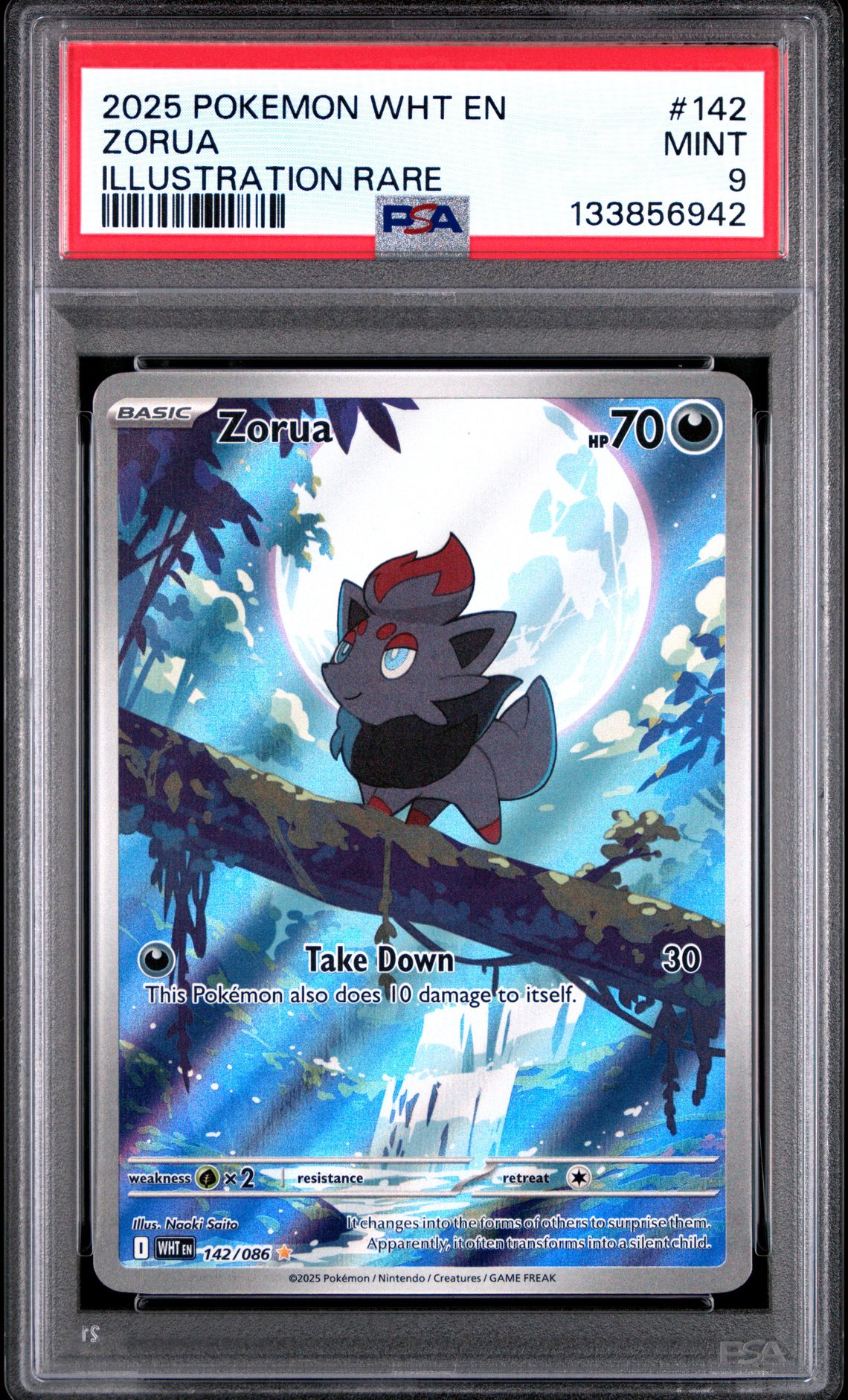 2025 Pokemon Wht En-White Flare Zorua #142 (Illustration Rare) Mint 9 front