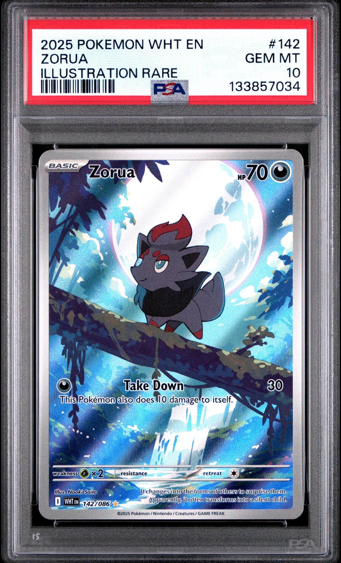 2025 Pokemon Wht En-White Flare Zorua #142 (Illustration Rare) Gem Mt 10 front