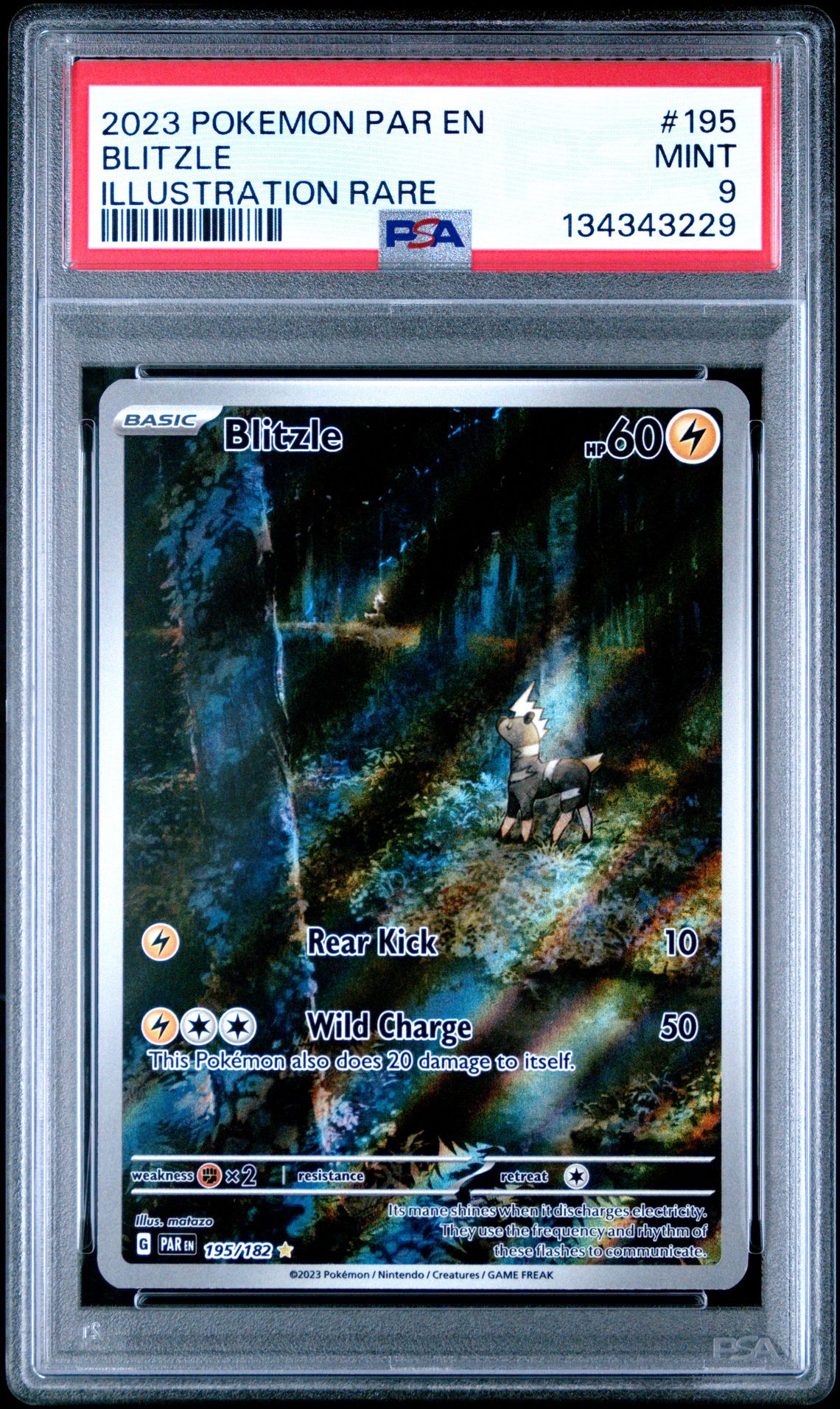 2023 Pokemon POKEMON PAR EN-PARADOX RIFT ILLUSTRATION RARE #195 Blitzle front