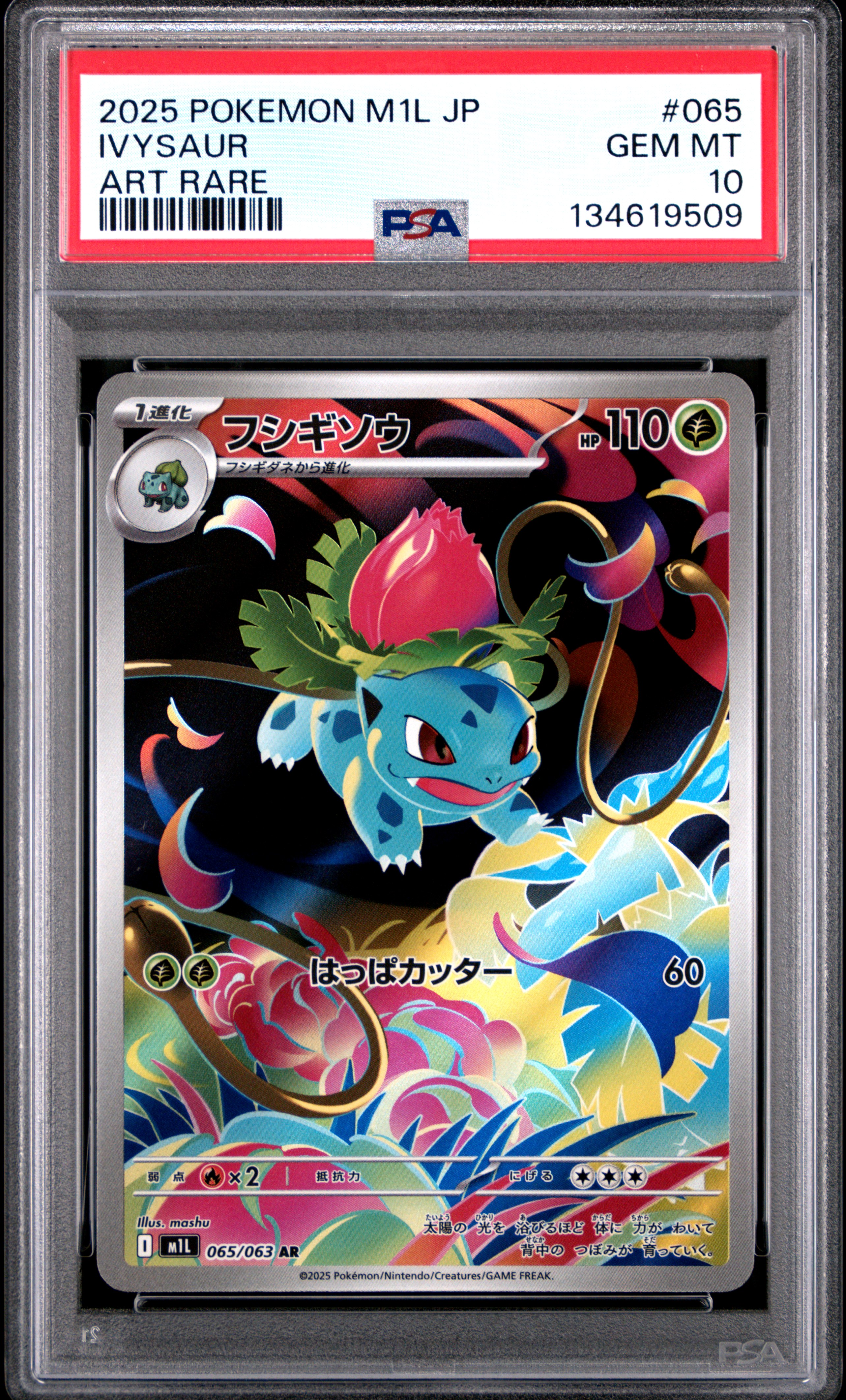 2025 #065 Ivysaur PSA 10 Japanese M1l-Mega Brave