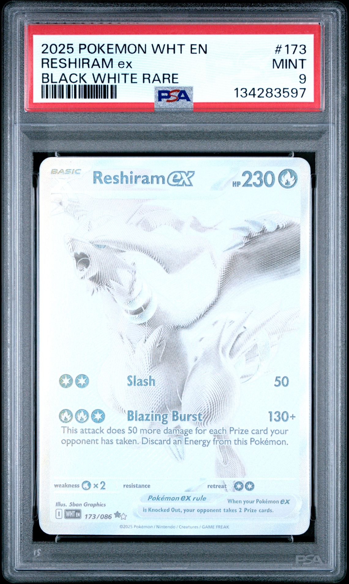 2025 Pokemon Wht En-White Flare Reshiram Ex #173 (Black White Rare) Mint 9 front