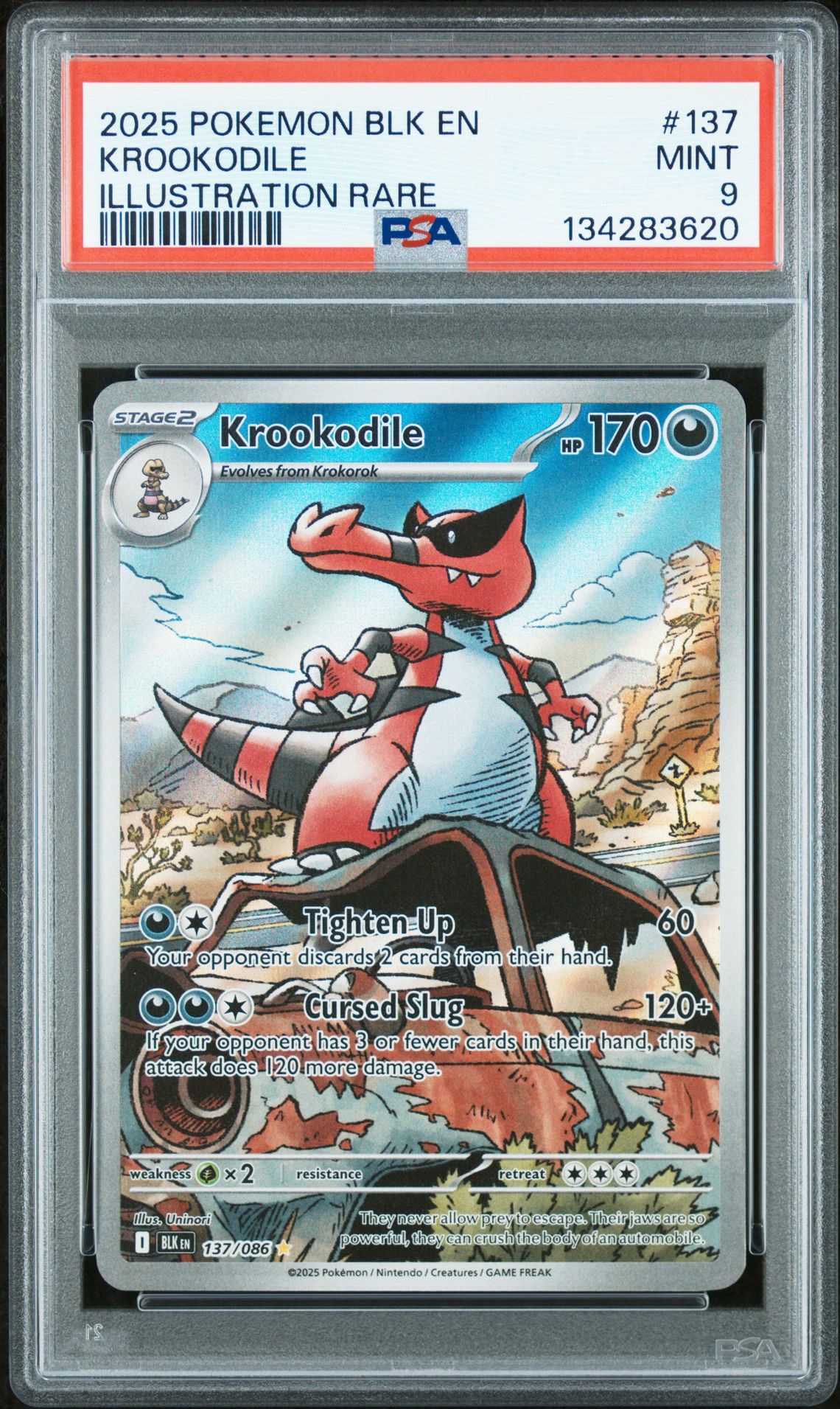 2025 Pokemon Blk En-Black Bolt Krookodile #137 (Illustration Rare) Mint 9 front