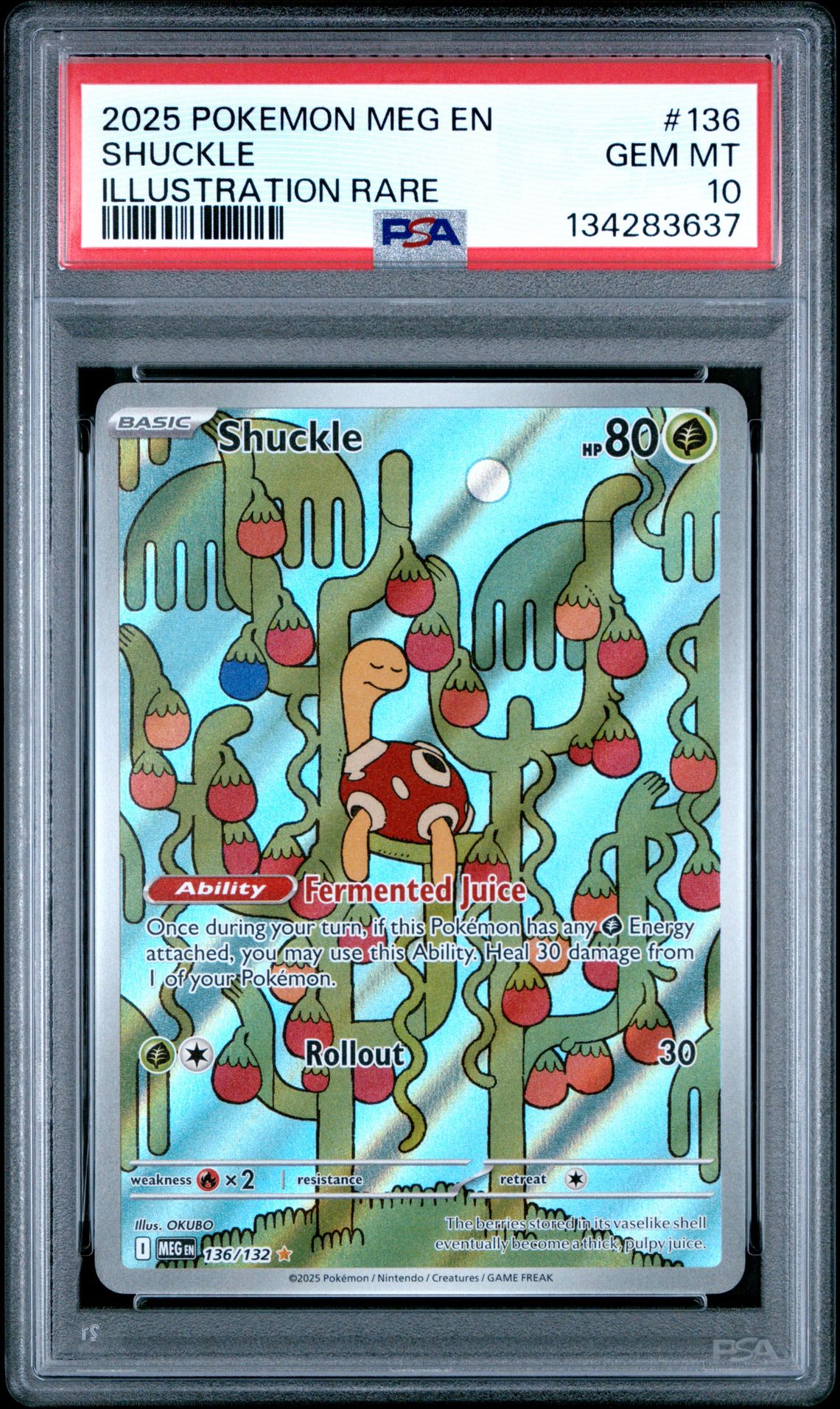 2025 Pokemon Meg En-Mega Evolution Shuckle #136 (Illustration Rare) Gem Mt 10 front