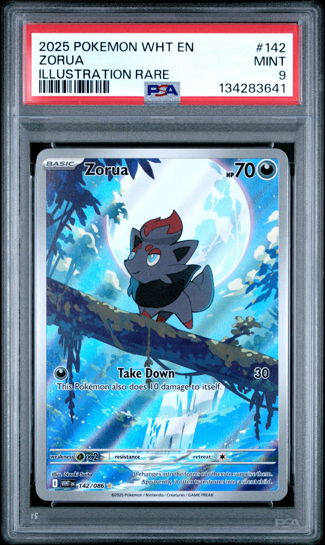 2025 Pokemon Wht En-White Flare Zorua #142 (Illustration Rare) Mint 9 front