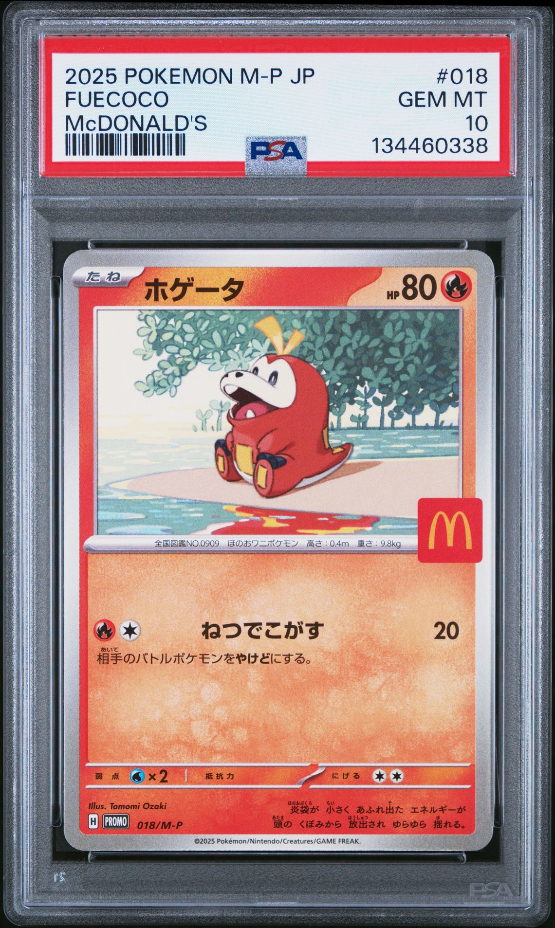 2025 Pokemon Japanese M-P Promo Fuecoco #018 (Mcdonald's) Gem Mt 10 front