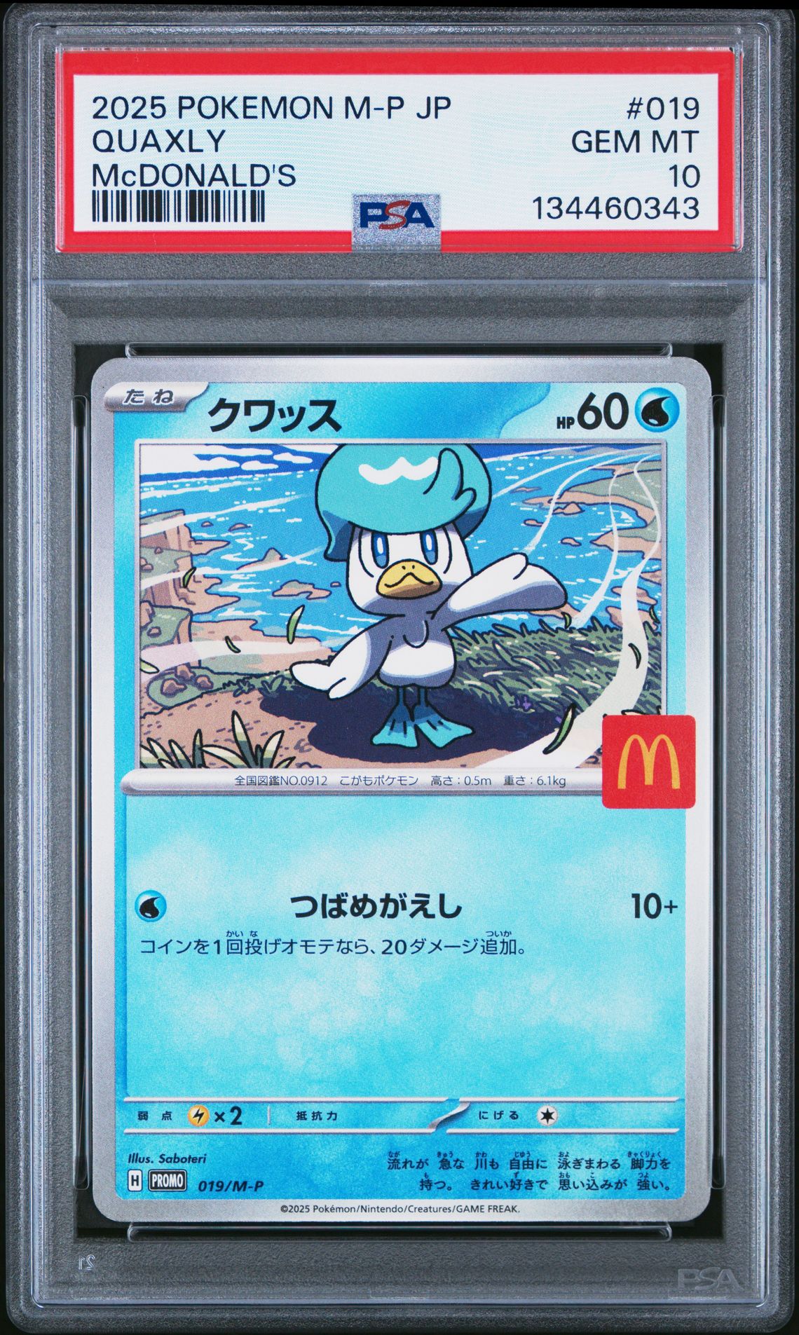 2025 Pokemon Japanese M-P Promo Quaxly #019 (Mcdonald's) Gem Mt 10 front