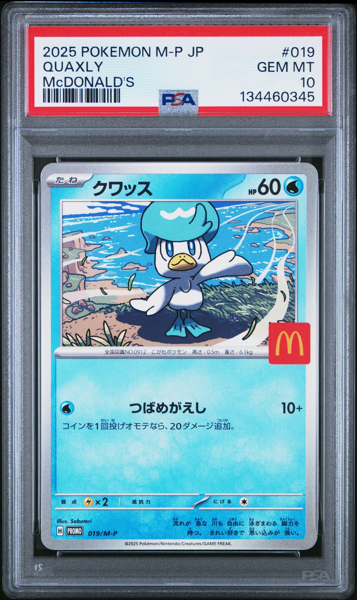 2025 Pokemon Japanese M-P Promo Quaxly #019 (Mcdonald's) Gem Mt 10 front