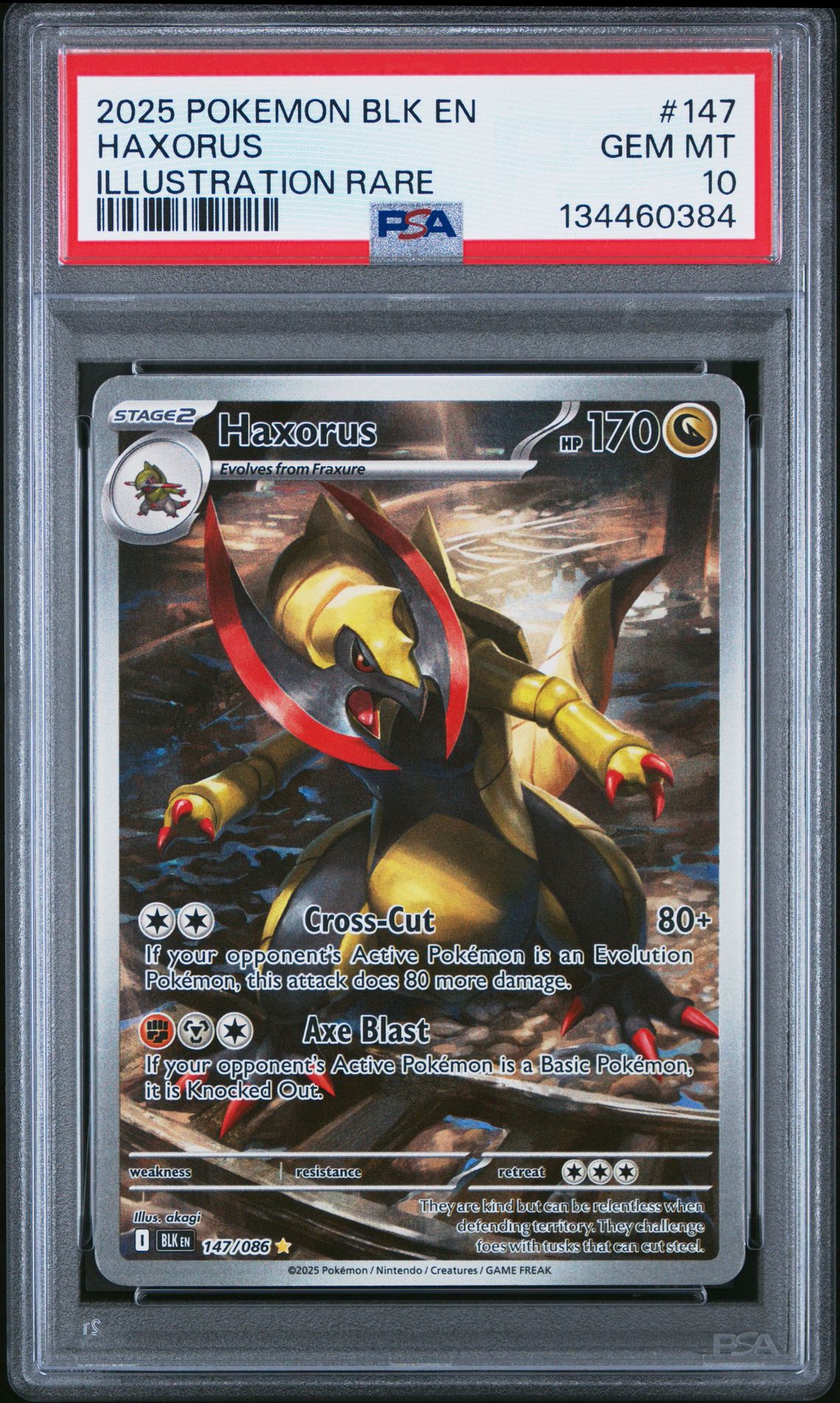 2025 Pokemon Blk En-Black Bolt Haxorus #147 (Illustration Rare) Gem Mt 10 front