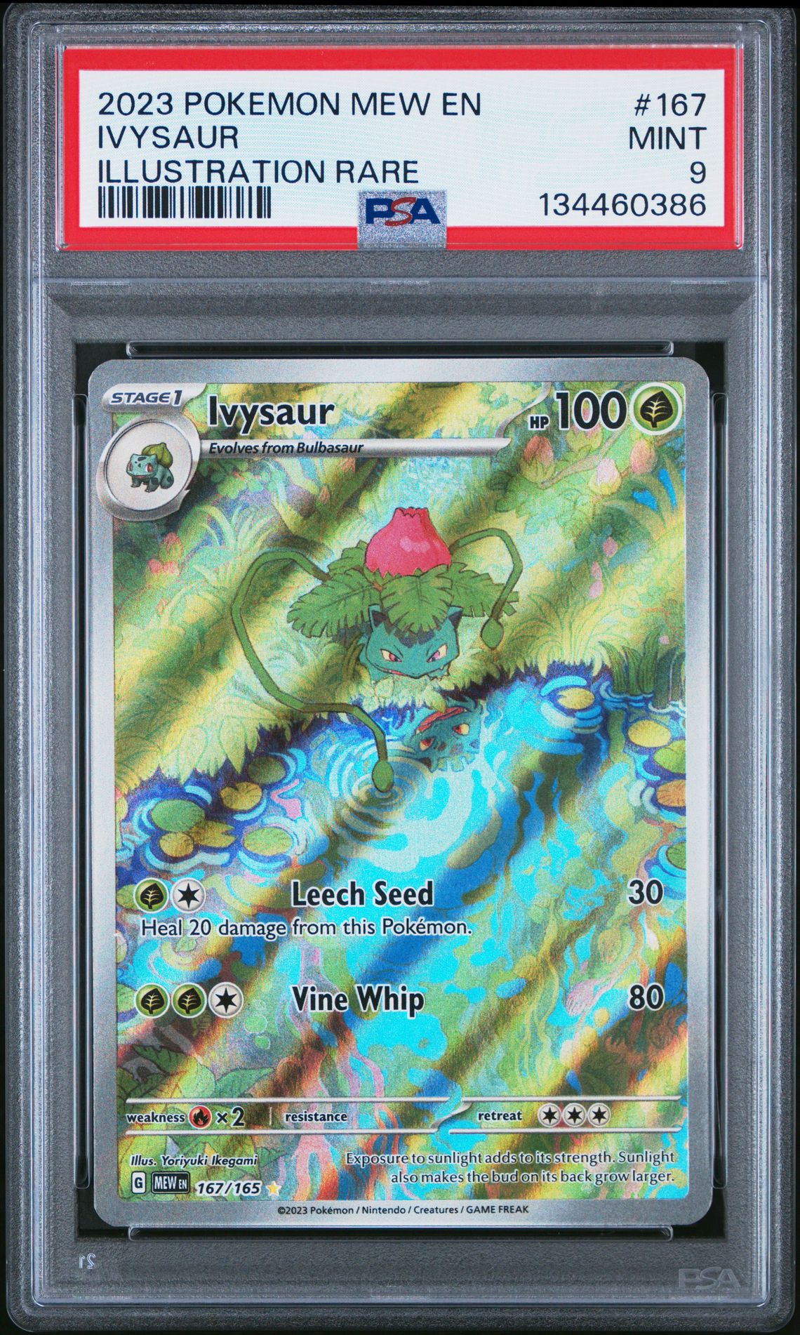 2023 Pokemon Mew En-151 Ivysaur #167 (Illustration Rare) Mint 9 front