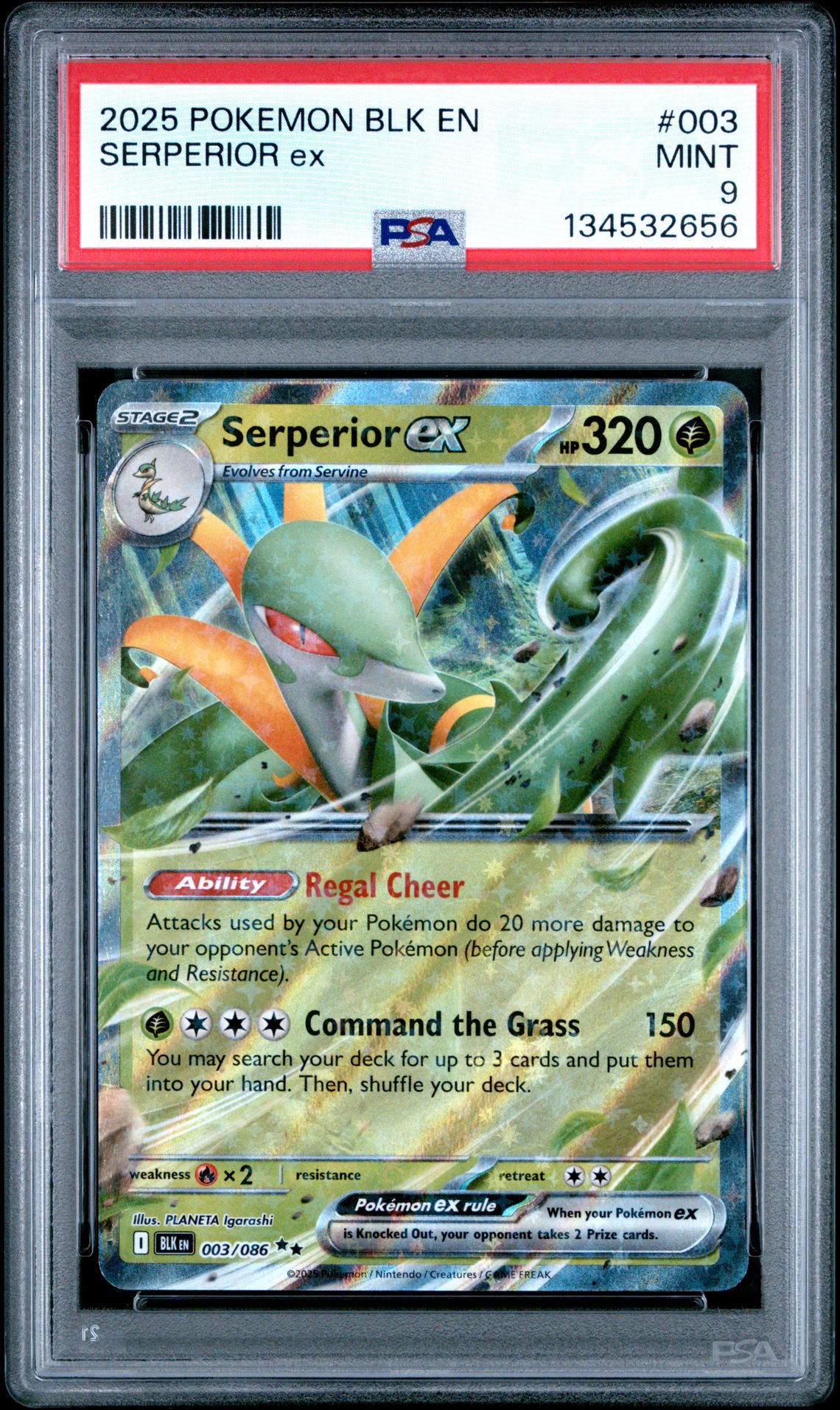 2025 Pokemon Blk En-Black Bolt Serperior Ex #003 Mint 9 front